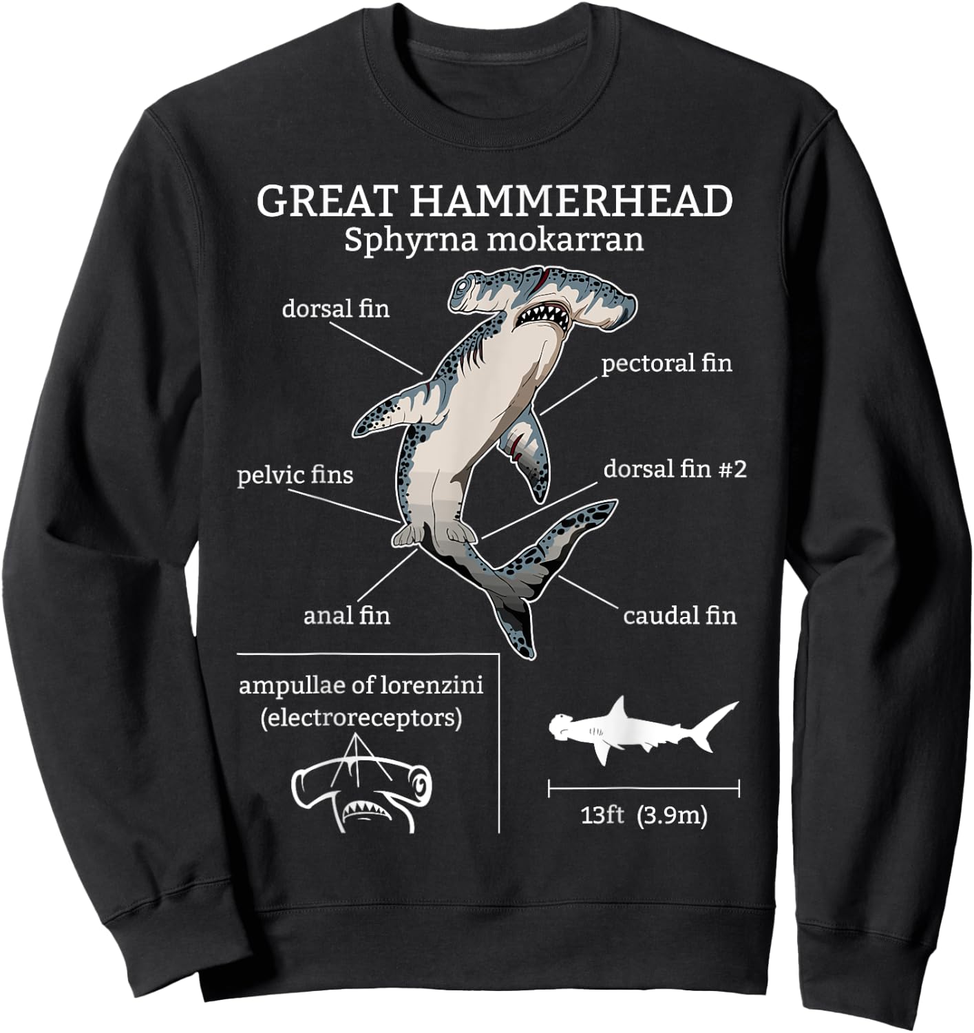Great Hammerhead Shark Anatomy Ocean Animal Marine Biologist Sweatshirt - Sweatshirt | Black
