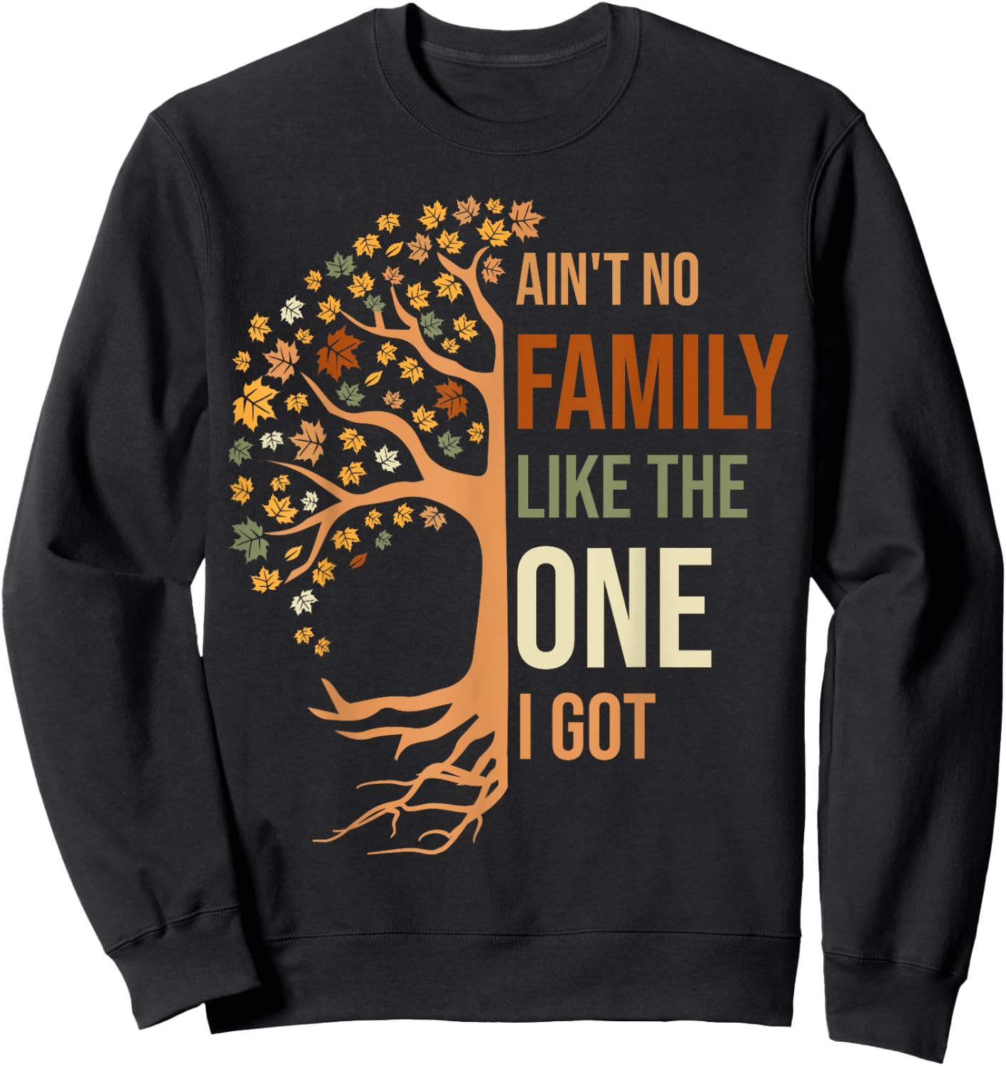 Ain't No Family Like The One I Got Funny Family Reunion Sweatshirt - Sweatshirt | Black
