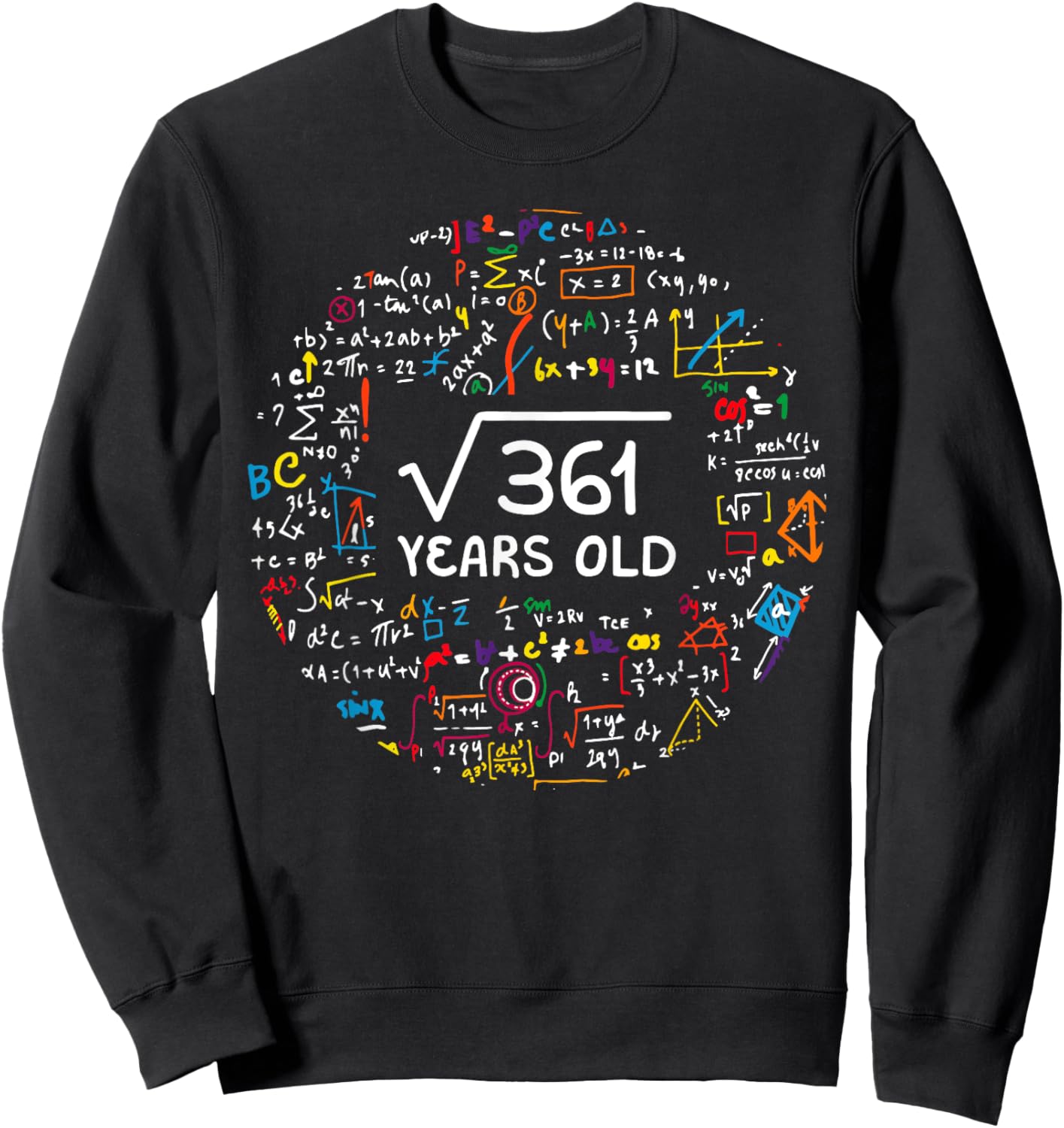 Square Root Of 361 19th Birthday 19 Year Old Gifts Math Bday Sweatshirt - Sweatshirt | Black