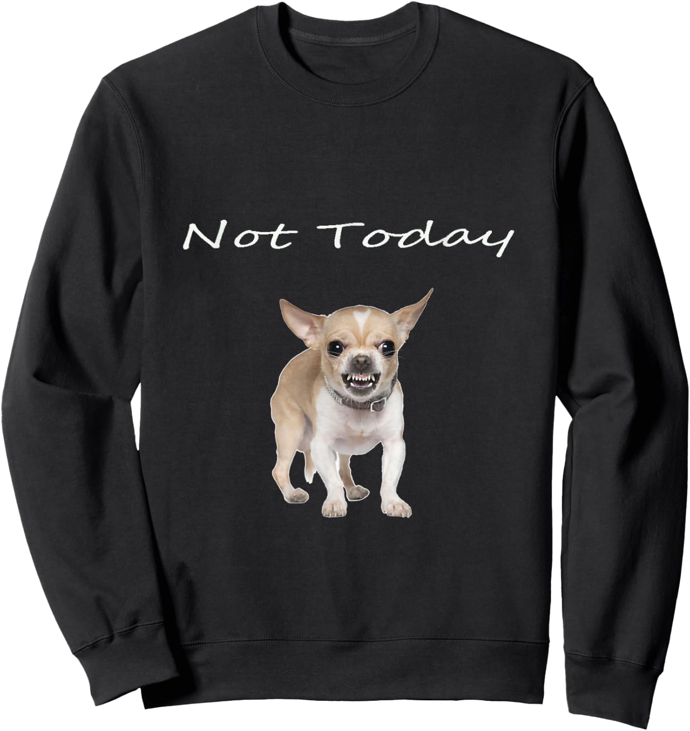 Chihuahua Not Today Snarling Teeth Showing Funny Dog Sweatshirt - Sweatshirt | Black