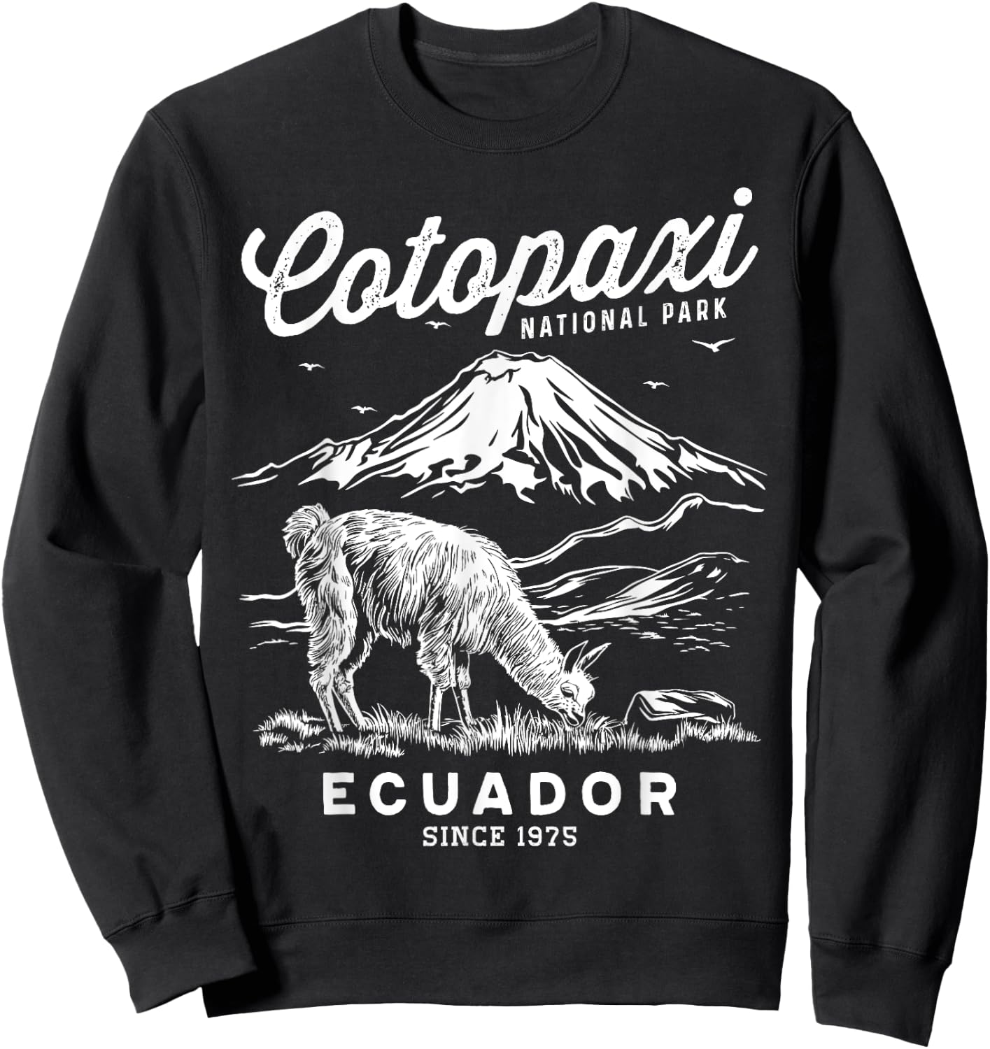 Ecuador Cotopaxi National Park Souvenir Alpaca Hike Sweatshirt - Sweatshirt | Black