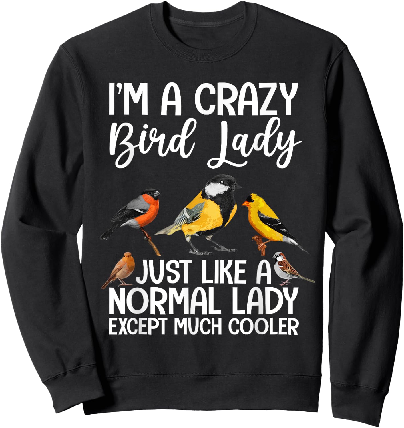 Funny Bird Lady Design Girls Birding Bird Lovers Sweatshirt - Sweatshirt | Black