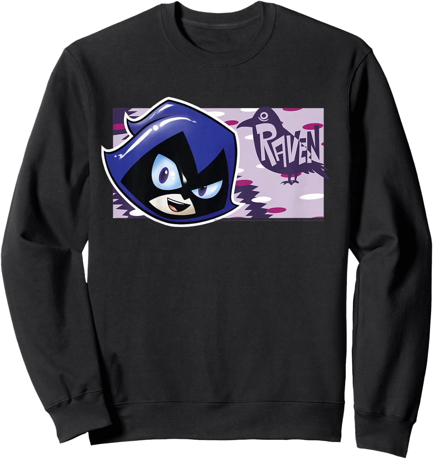 Kids DC Comics Teen Titans Go! Raven Character Panel Sweatshirt - Sweatshirt | Black