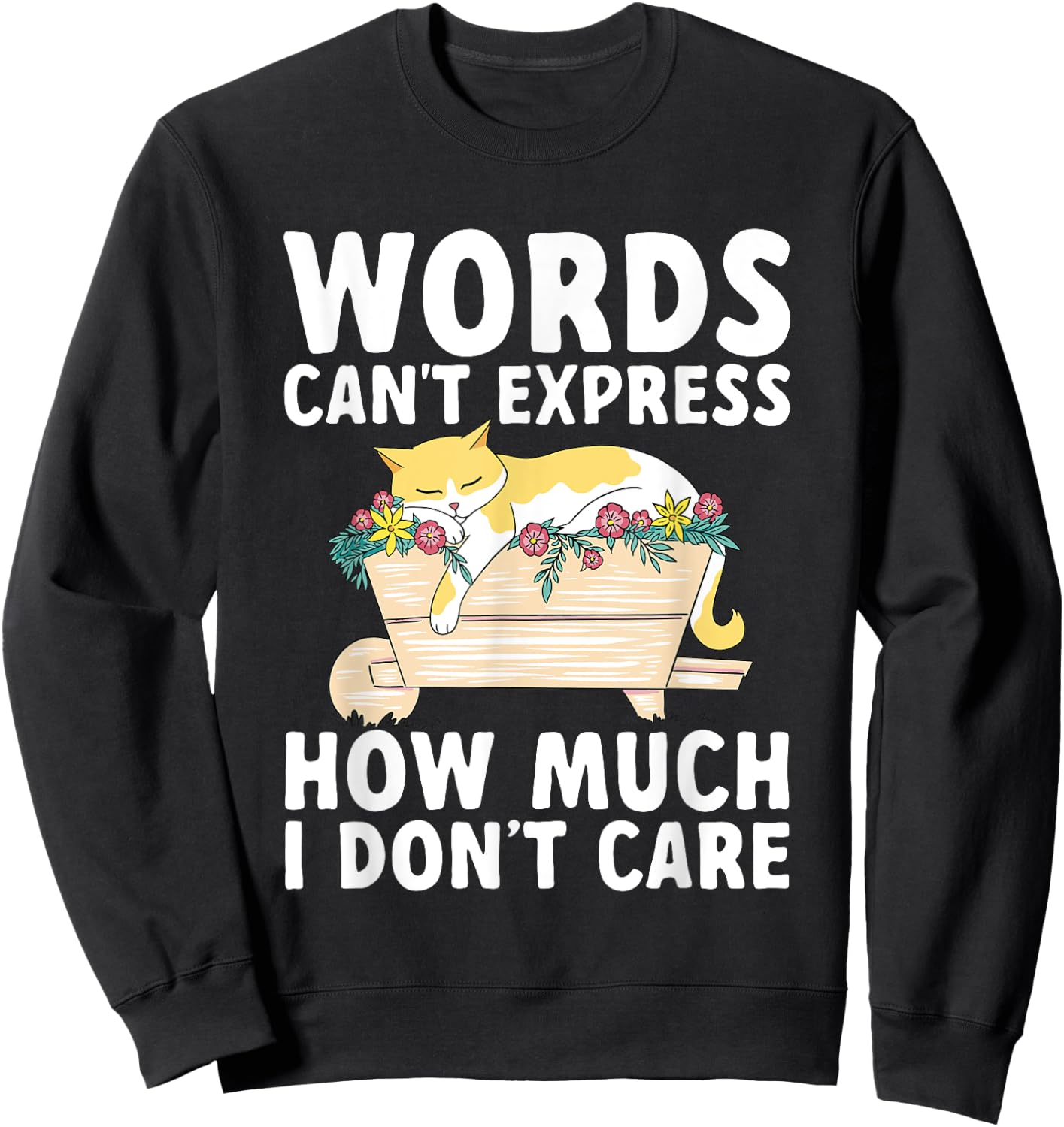 Words Can't Express How Much I Don't Care Sarcastic Cat Sweatshirt - Sweatshirt | Black