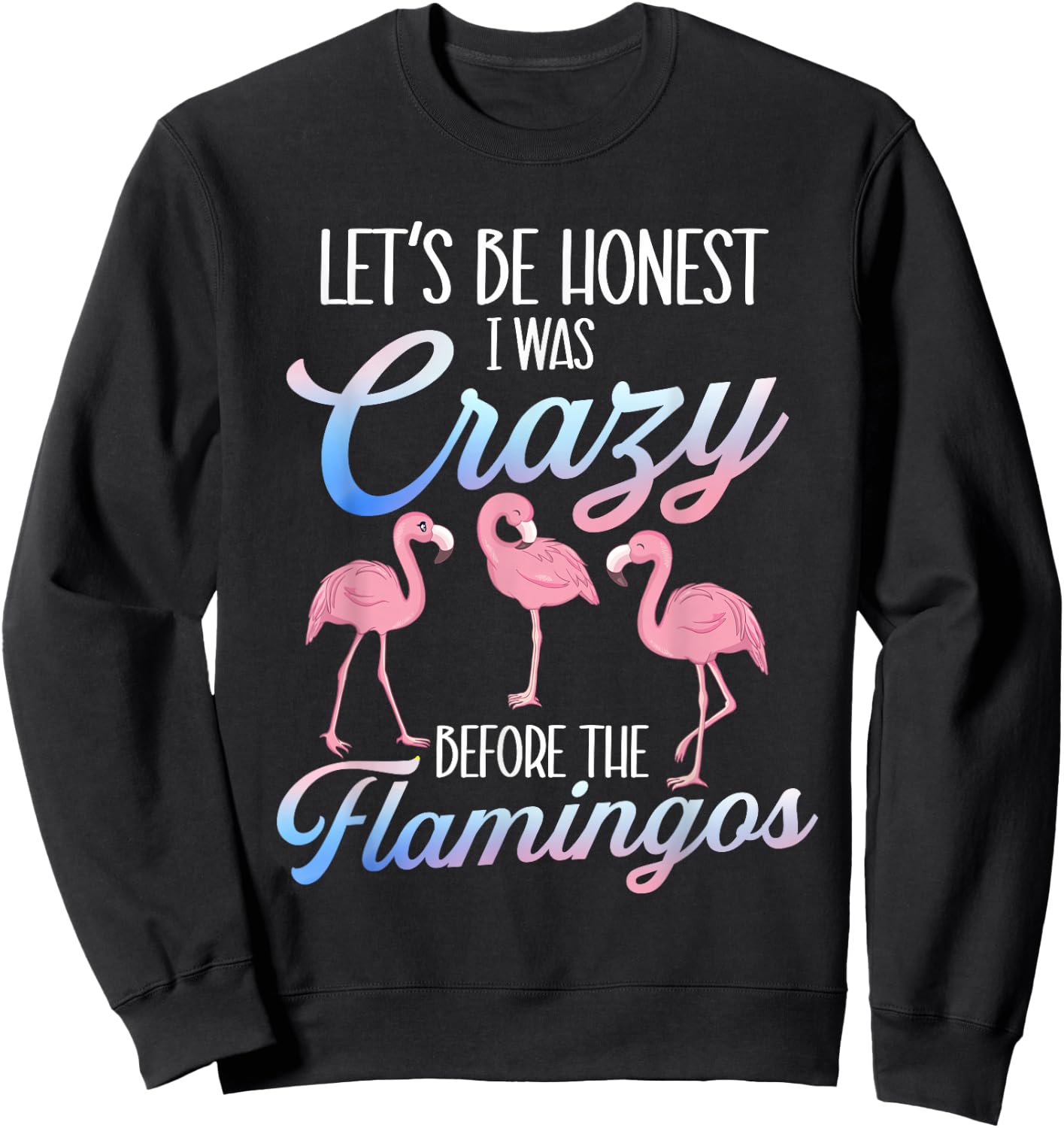 Let's Be Honest I Was Crazy Before - Flamingo Lover Sweatshirt - Sweatshirt | Black