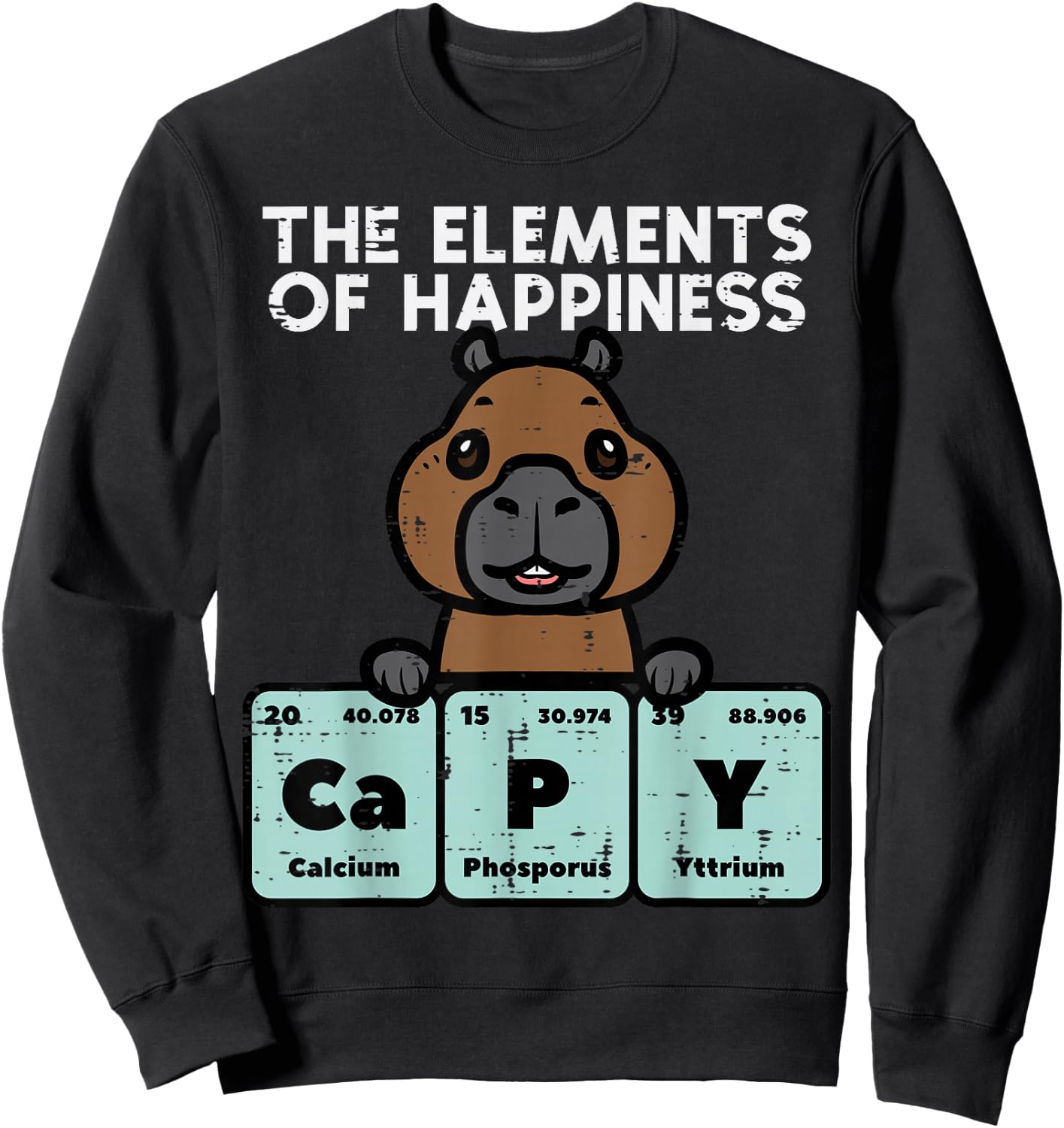 Capybara Elements of Happiness Capy Science Men Women Kids Sweatshirt - Sweatshirt | Black