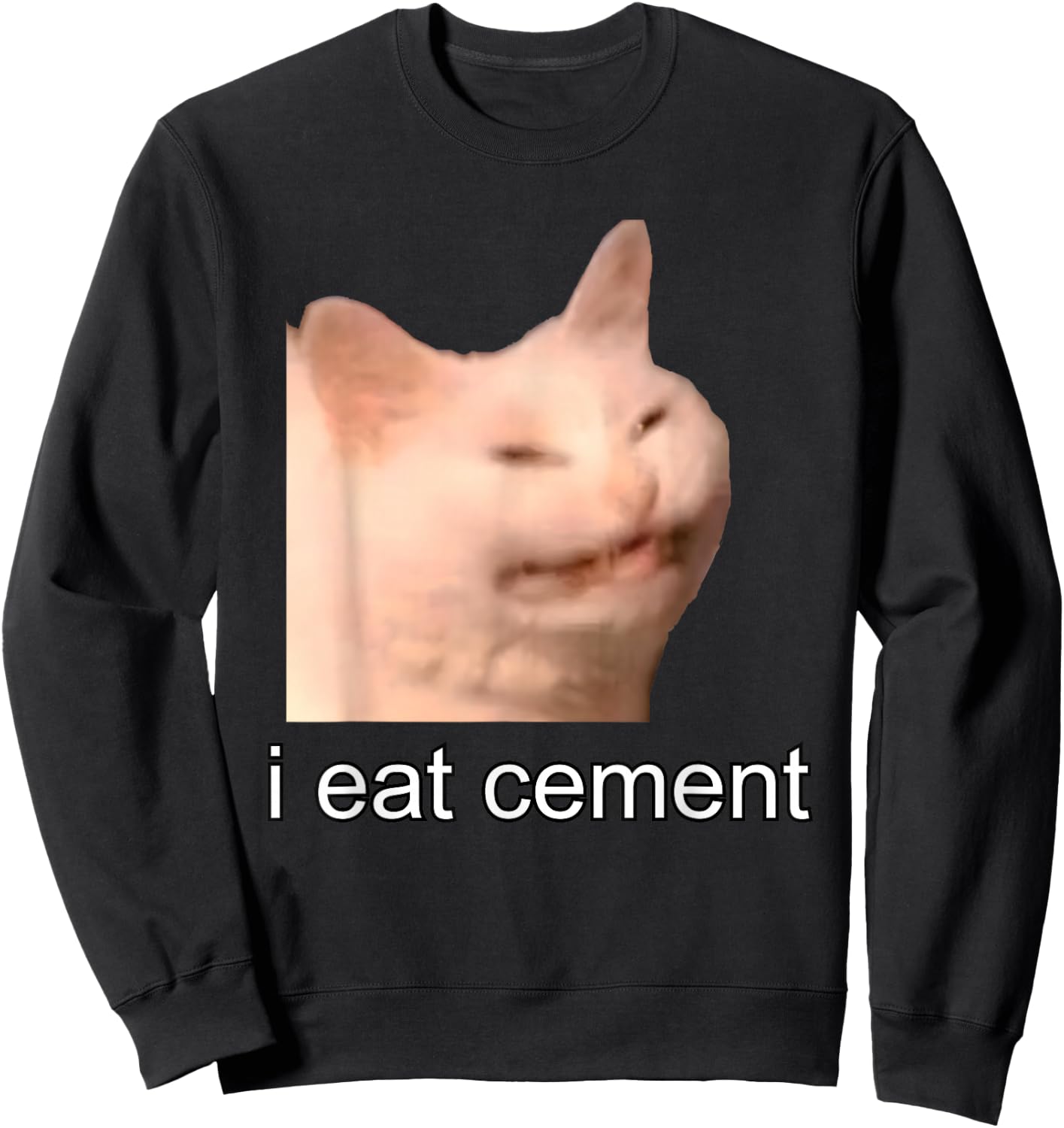 I Eat Cement Cursed Cat Funny Oddly Specific Meme Sweatshirt - Sweatshirt | Black