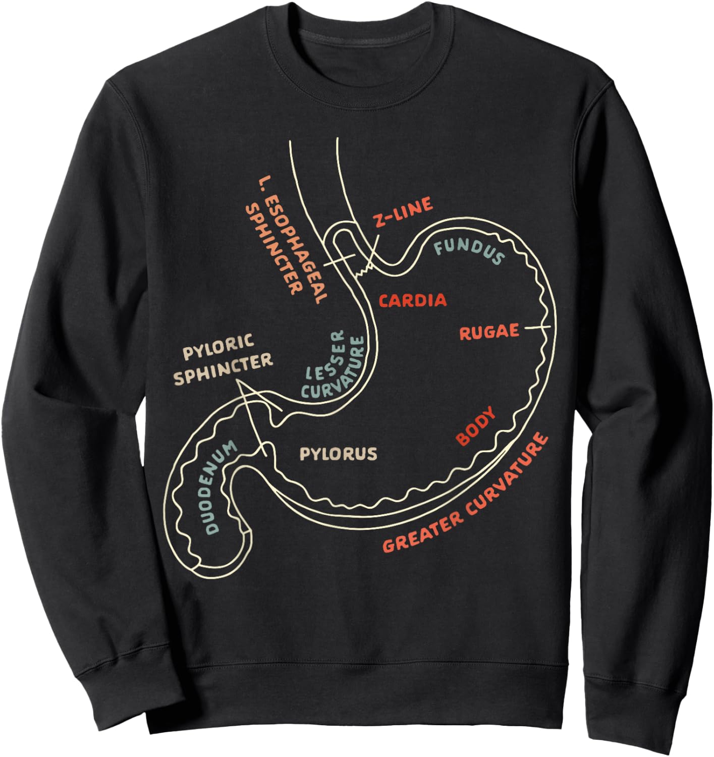 Gastroenterologist GI Nurse Gastroparesis Stomach Anatomy Sweatshirt - Sweatshirt | Black
