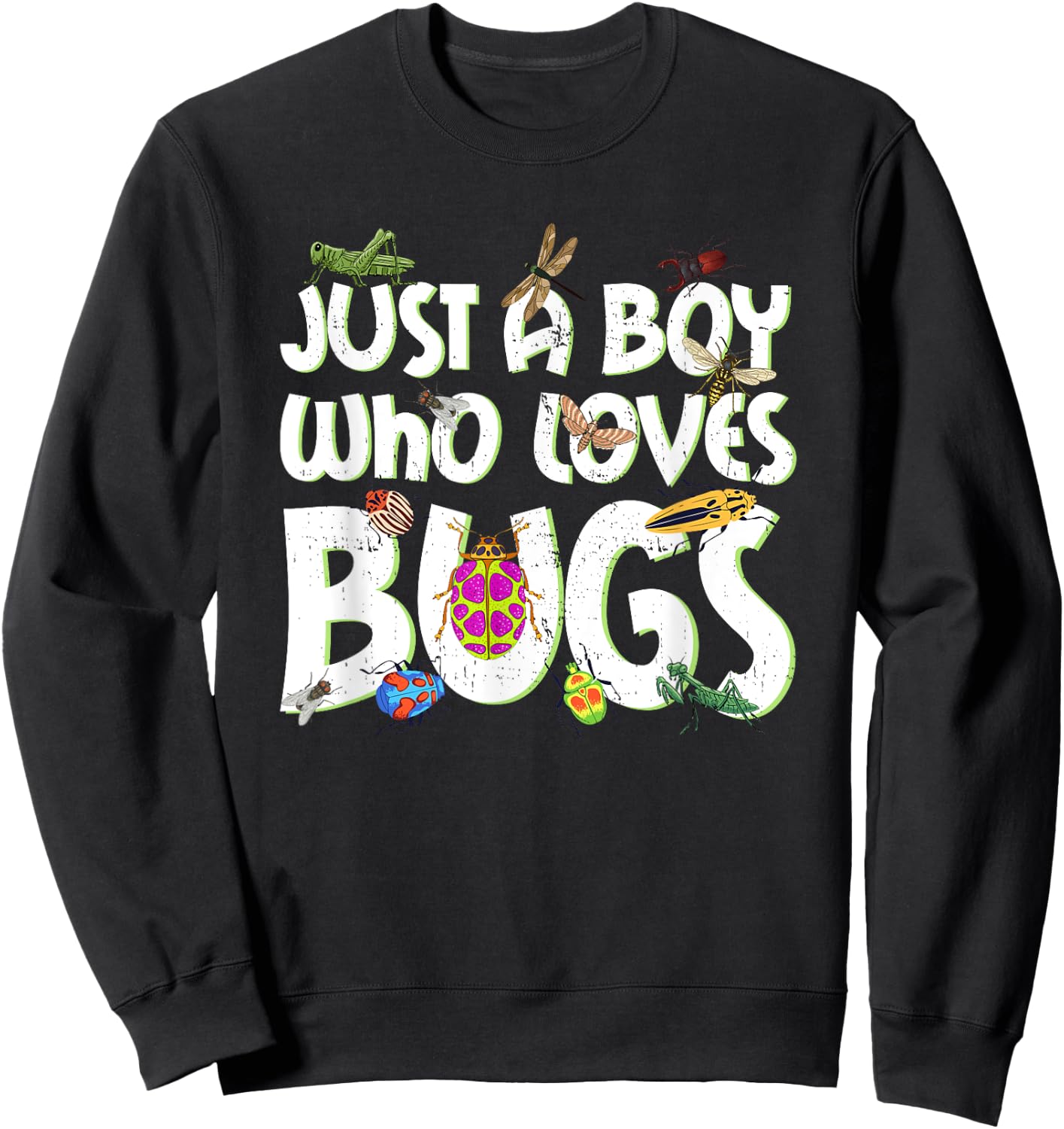 Just A Boy Who Loves Bugs Funny Kids Boys Sweatshirt - Sweatshirt | Black