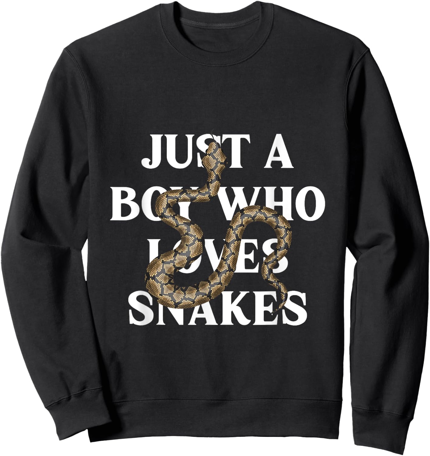 Boy Who Loves Snakes Reptile Reptiles Animal Pet Gift Sweatshirt - Sweatshirt | Black