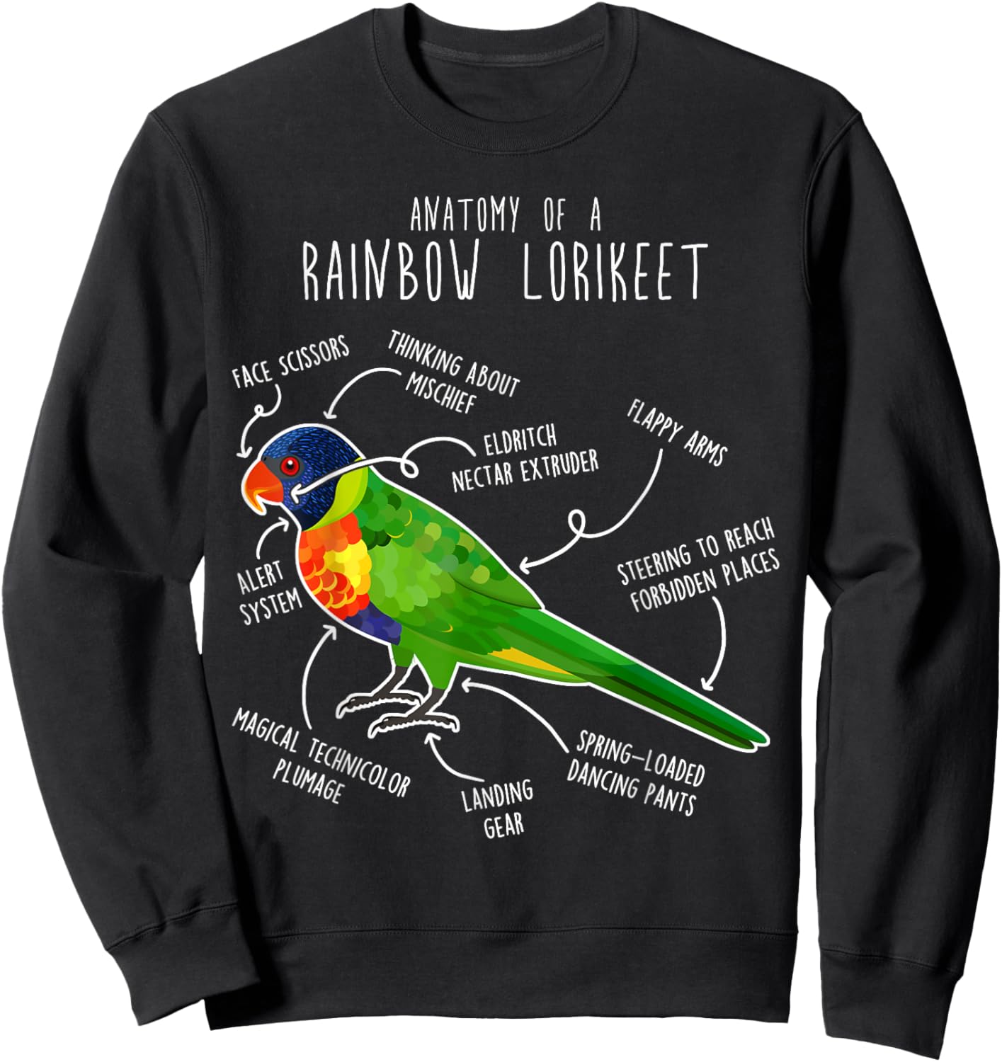 Rainbow Lorikeet Parrot Anatomy, Funny Cute Pet Lover Bird Sweatshirt - Sweatshirt | Black