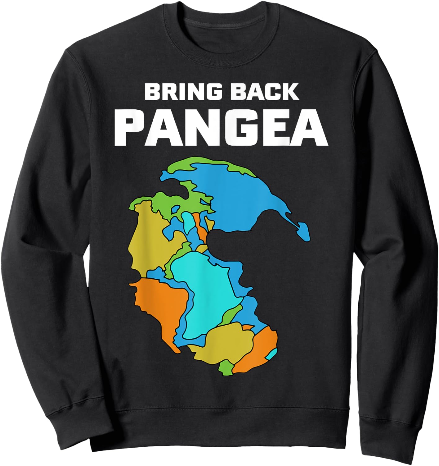 Bring Back Pangea Funny Sweatshirt - Sweatshirt | Black