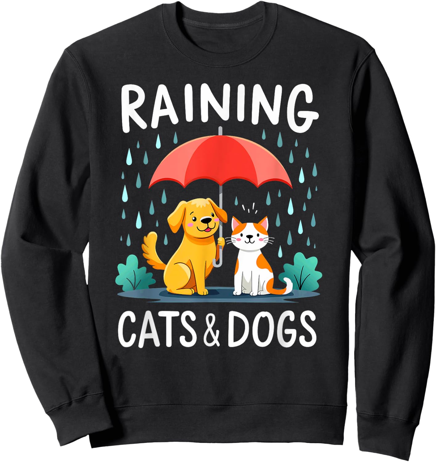 English Teacher Idiom Raining Cats And Dogs Sweatshirt - Sweatshirt | Black