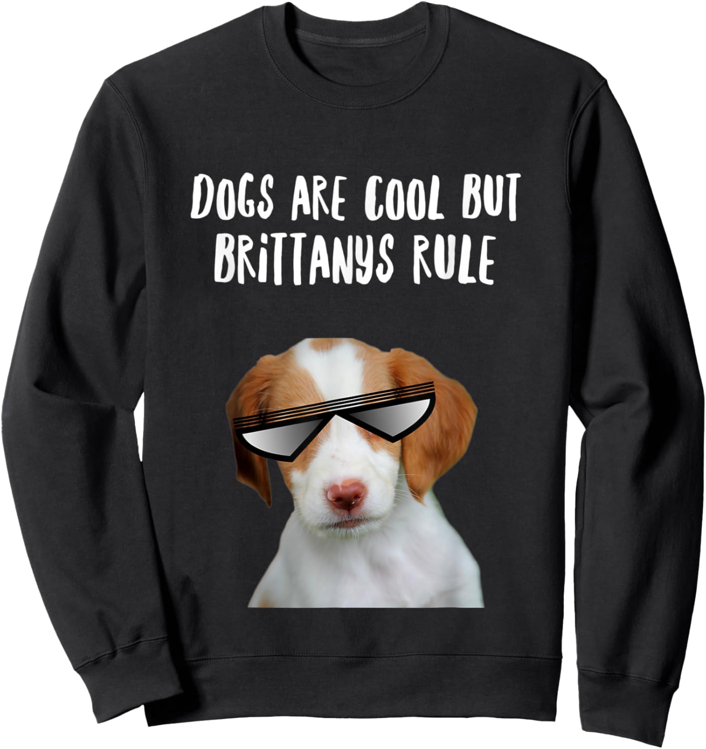 Dogs are Cool But Brittany Spaniels Rule Funny Text Sweatshirt - Sweatshirt | Black