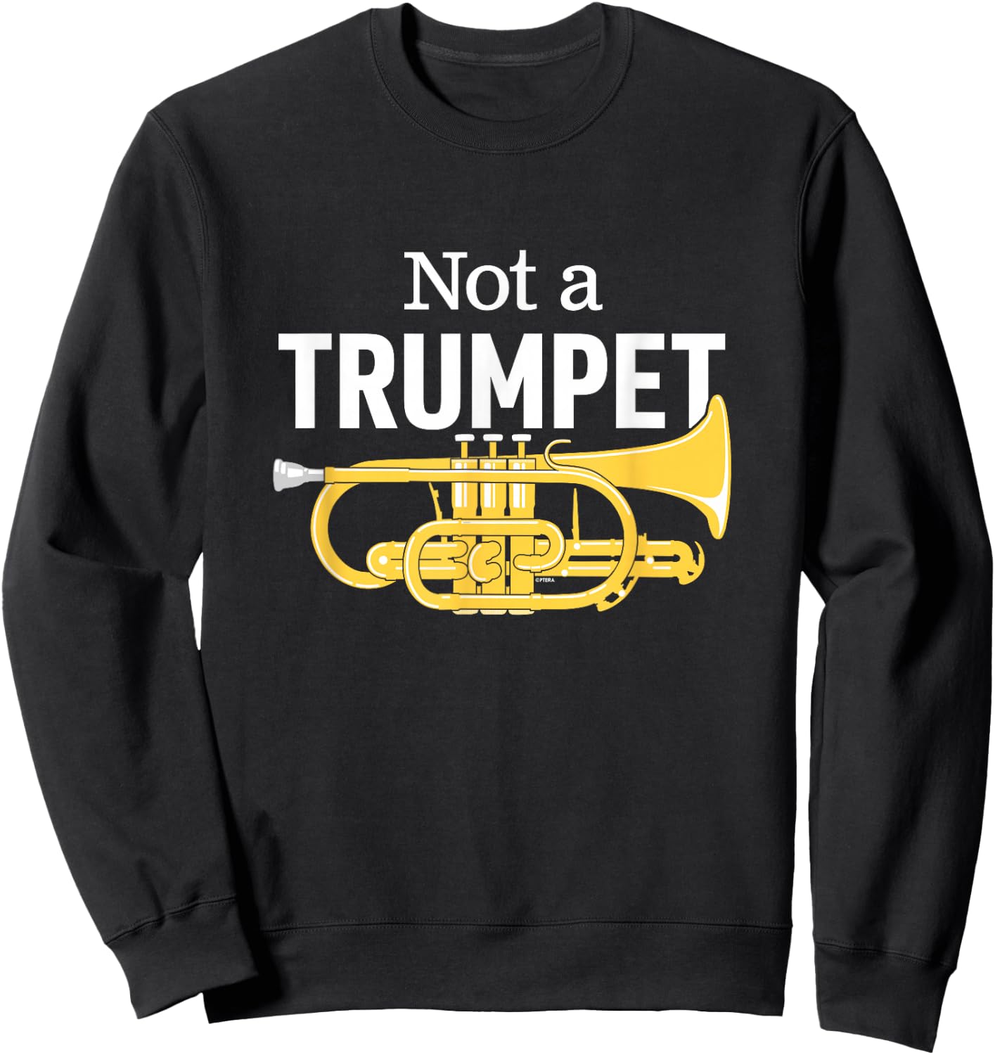 Funny Cornet Joke or Brass Band Humour Proud Cornet Players Sweatshirt - Sweatshirt | Black
