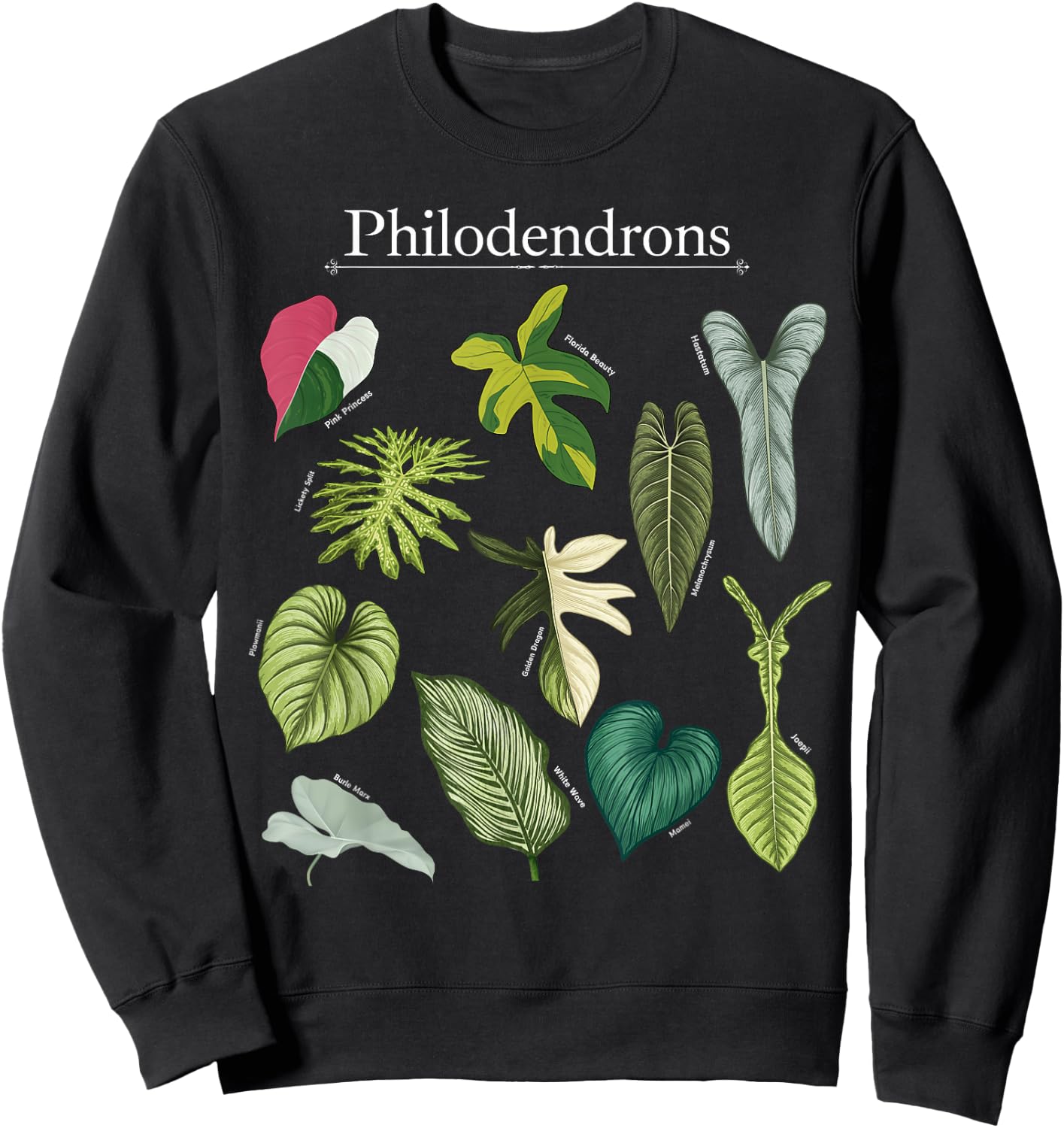 Philodendron Varieties Florida Beauty Joepii House Plants Sweatshirt - Sweatshirt | Black