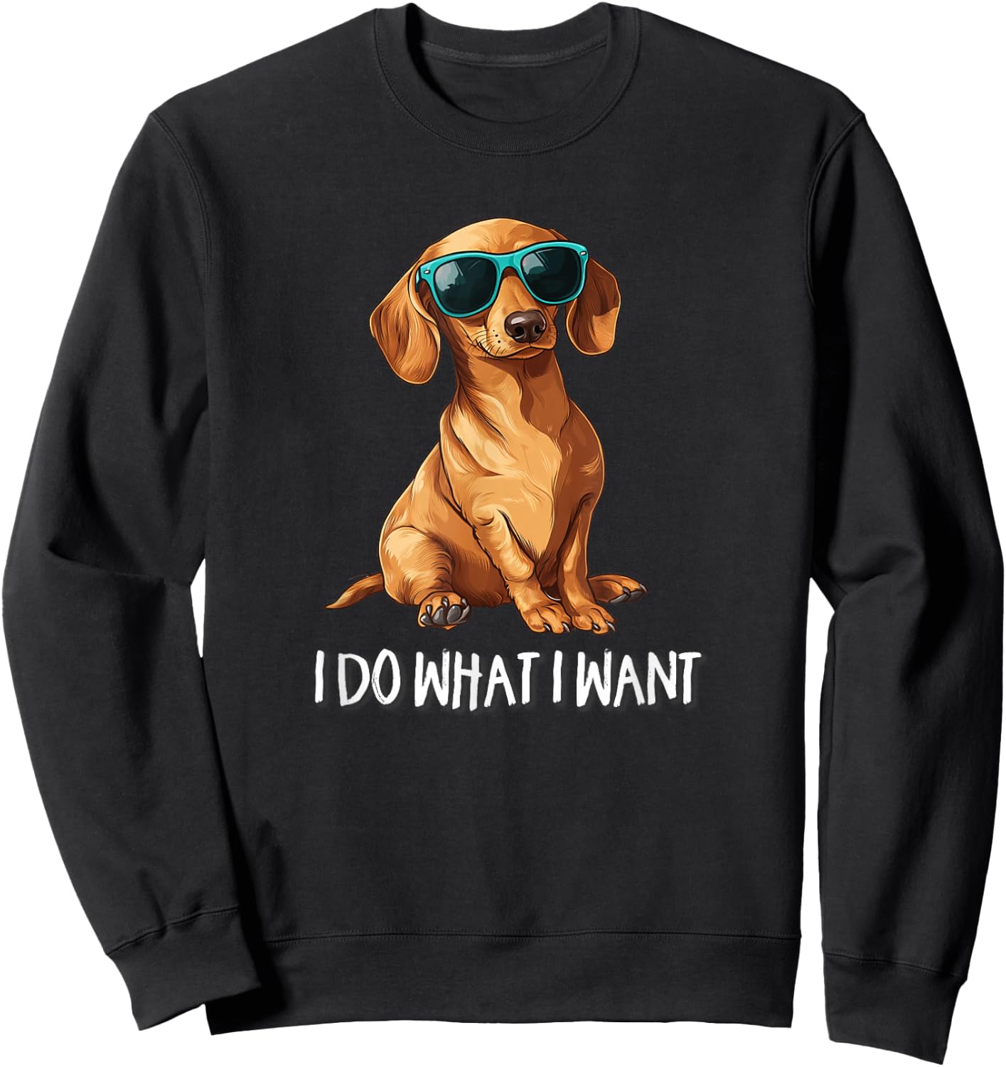 Kids Funny Do What I Want Dachshund Lover Sweatshirt - Sweatshirt | Black