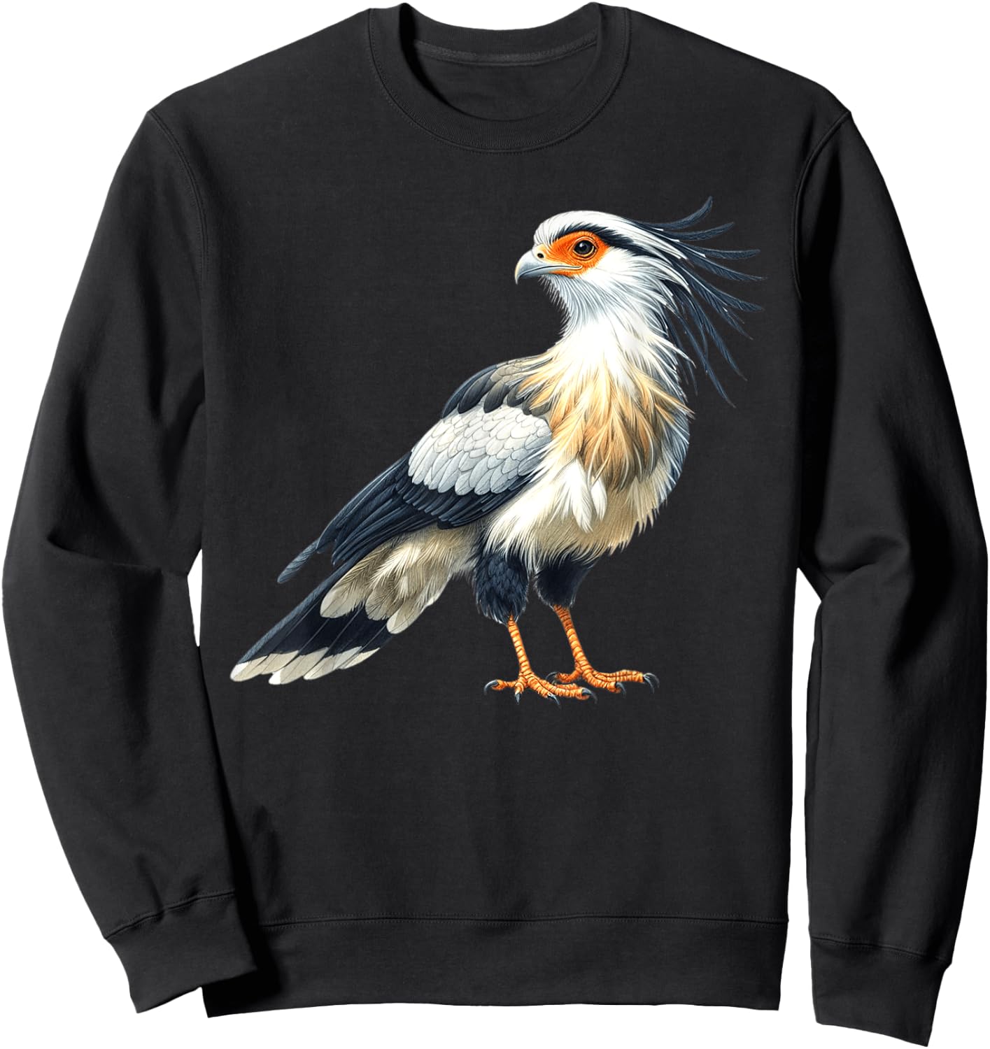 Secretarybird x Secretary Bird Sweatshirt - Sweatshirt | Black