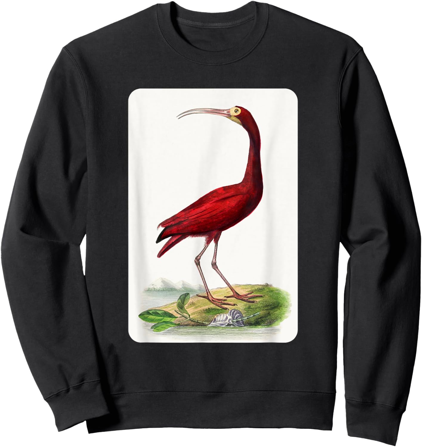 Vintage Scarlet Ibis Bird Illustration Animal Lover Sweatshirt - Sweatshirt | Black