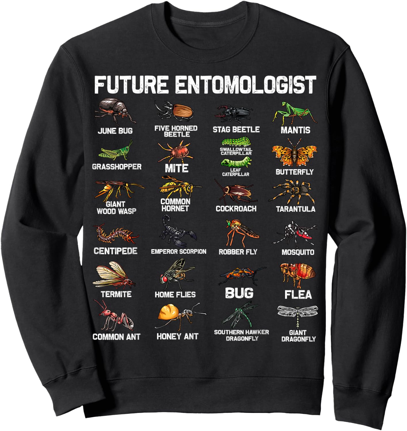 Funny Entomology Insect Bug Lover Men Women Boys Girls Kids Sweatshirt - Sweatshirt | Black