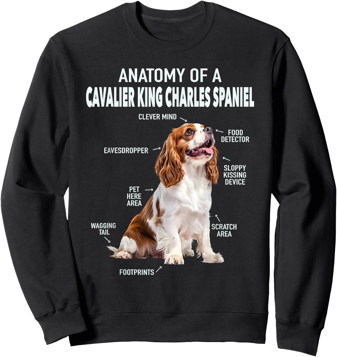 Anatomy Of A Cavalier King Charles Spaniel Sweatshirt - Sweatshirt | Black