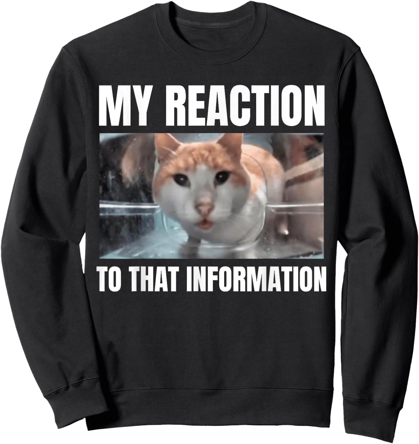 Hello Street Cat Funny Staring Bombastic Side Eye Meme Cats Women Sweatshirt - Sweatshirt | Black
