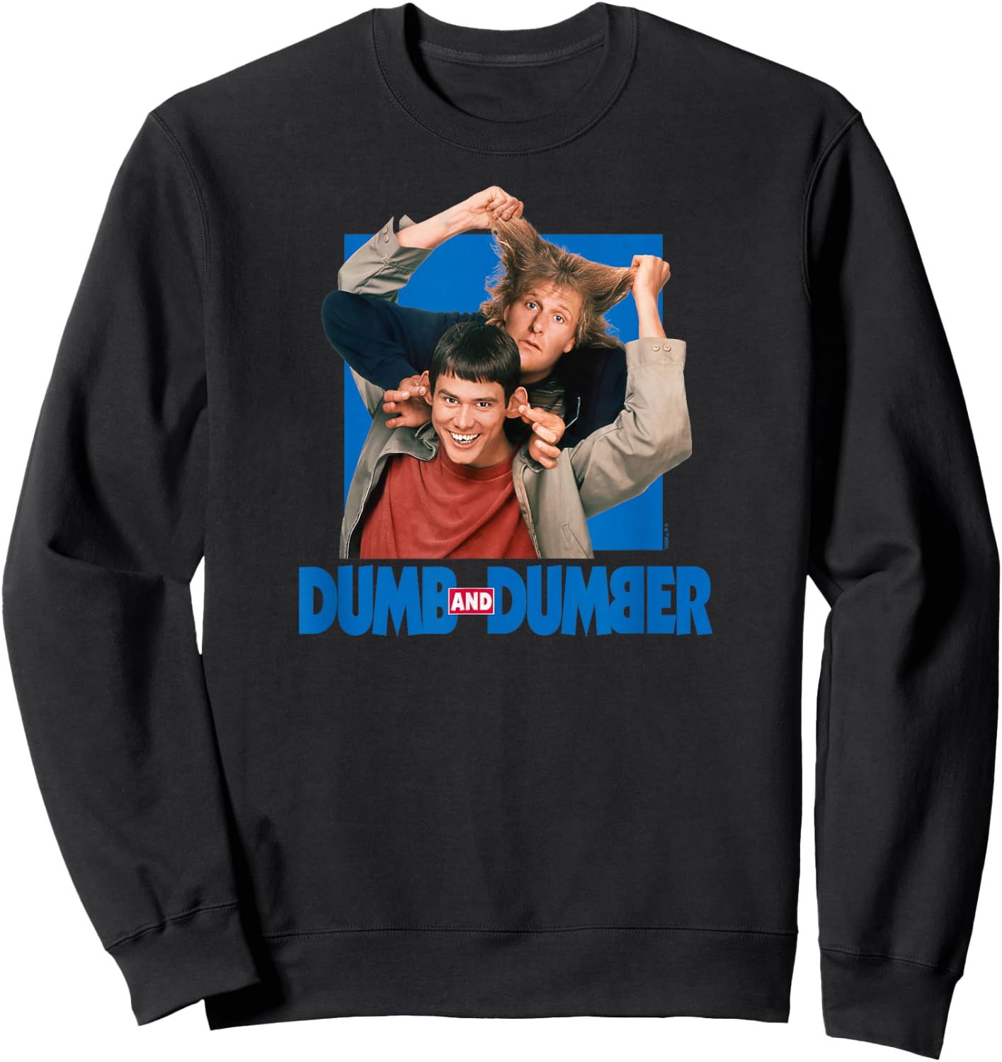 Dumb & Dumber - Lloyd Christmas and Harry Dunne Funny Duo , Small, Black Sweatshirt - Sweatshirt | Black
