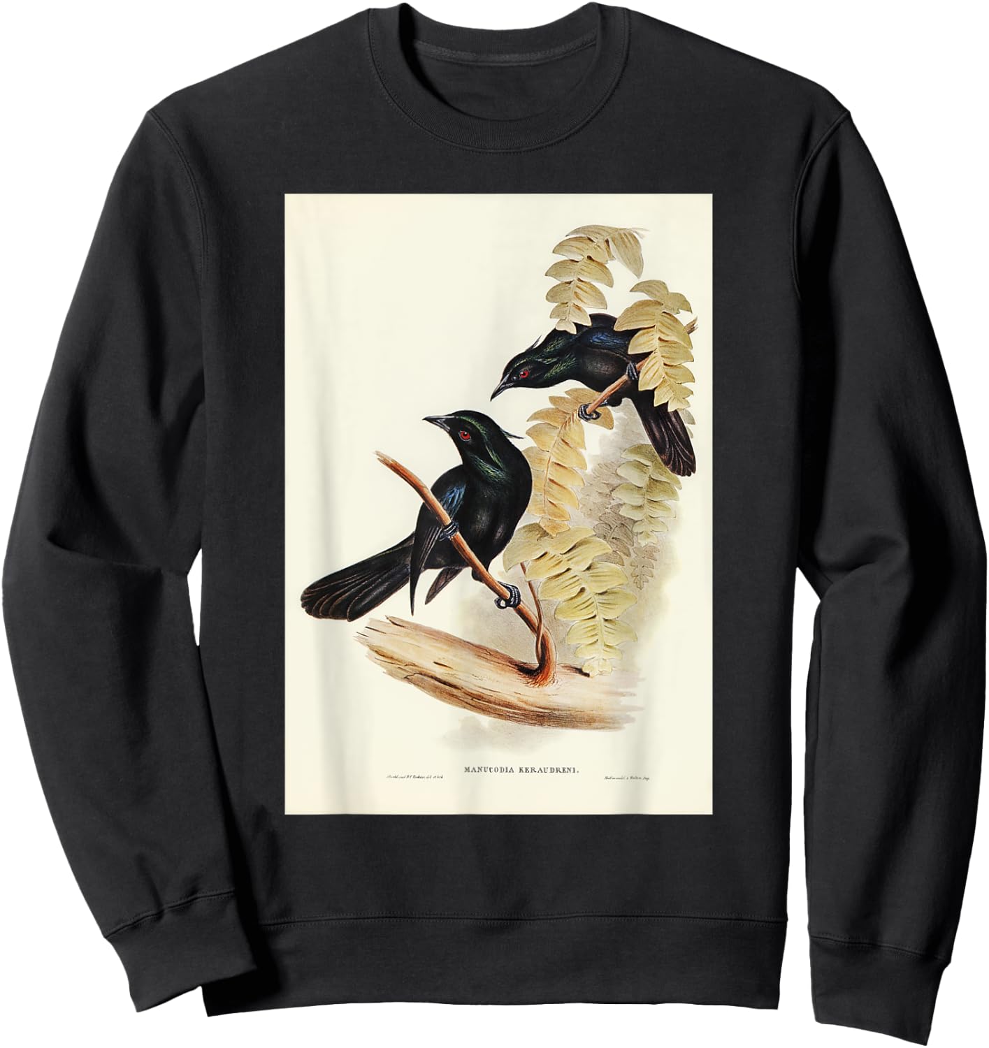 Keraudren's Crow-Shrike Birds Illustration & Women Sweatshirt - Sweatshirt | Black