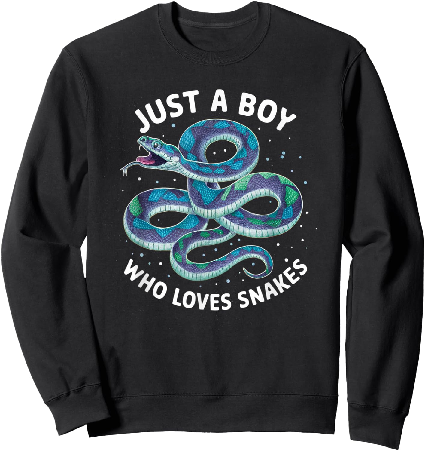 Just a Boy Who Loves Snakes Sweatshirt - Sweatshirt | Black