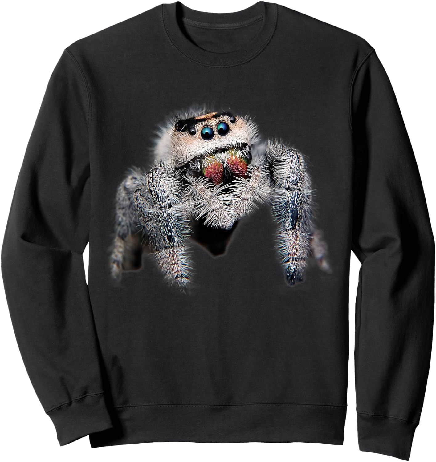 Arachnid Pet Spider Salticidae - Cute Spider Sweatshirt - Sweatshirt | Black