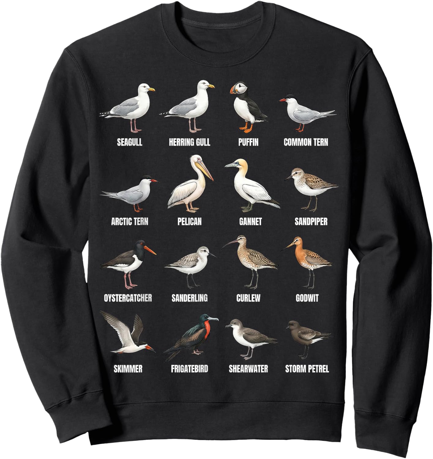 Types of Shorebirds & Seabirds – Coastal Bird Species Chart Sweatshirt - Sweatshirt | Black
