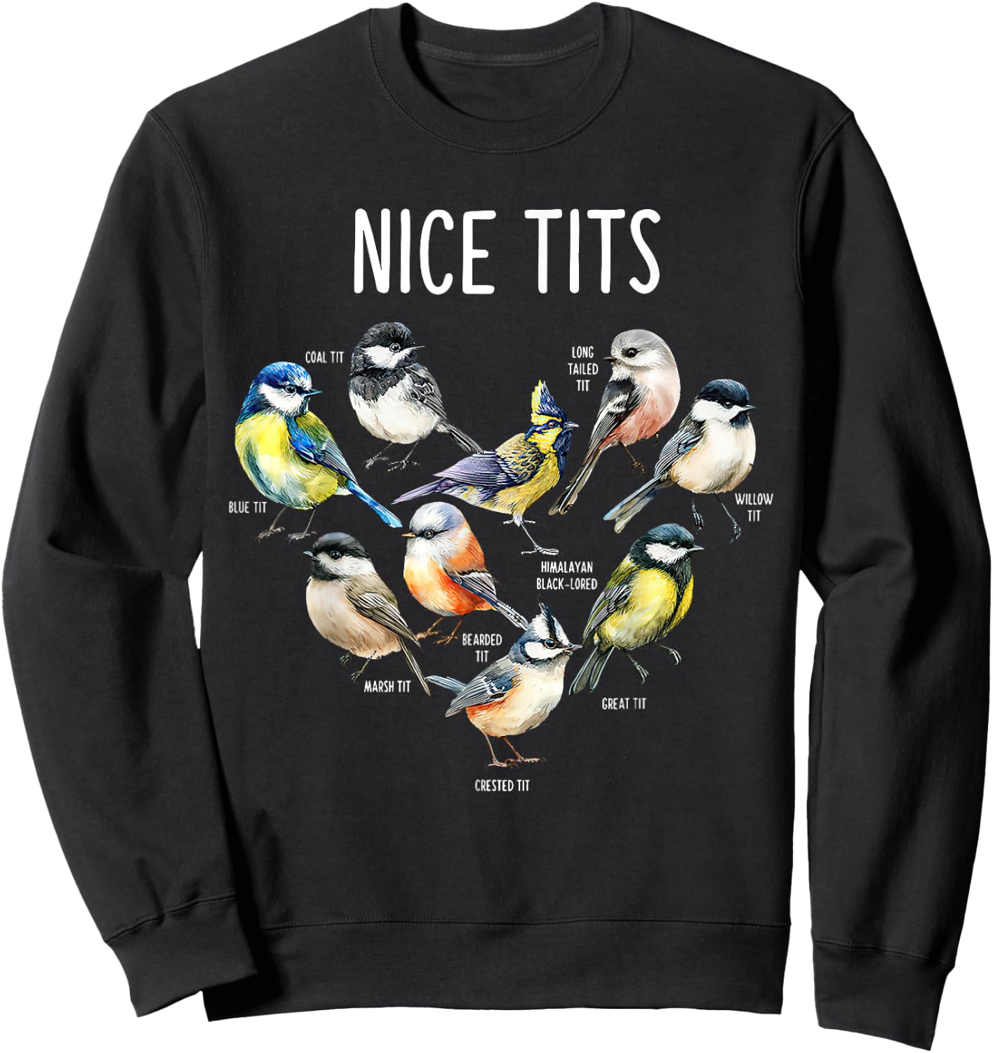 Retro Funny Nice Tits Birds Birdwatcher Bird Watching Humor Sweatshirt - Sweatshirt | Black