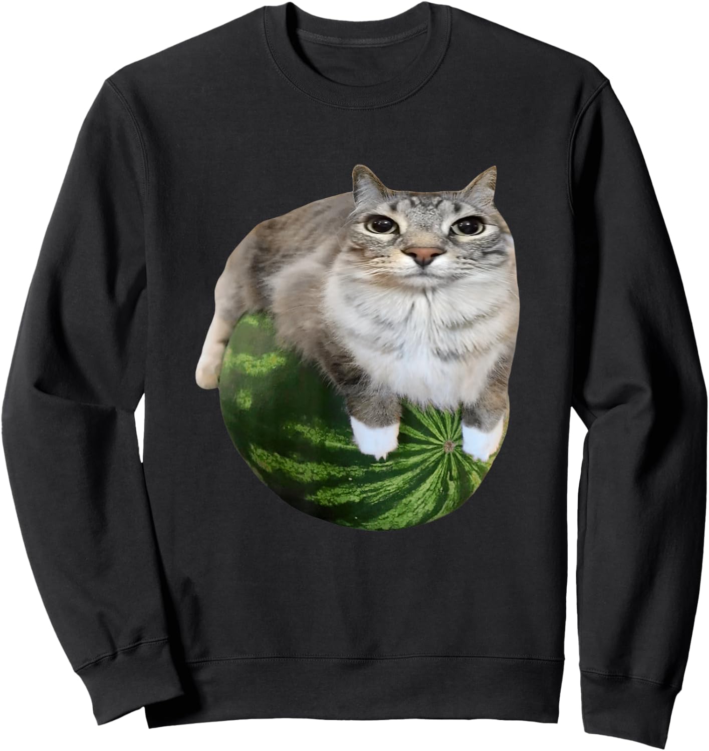Watermelon Cat Silly Cat Meme Sweatshirt - Sweatshirt | Black