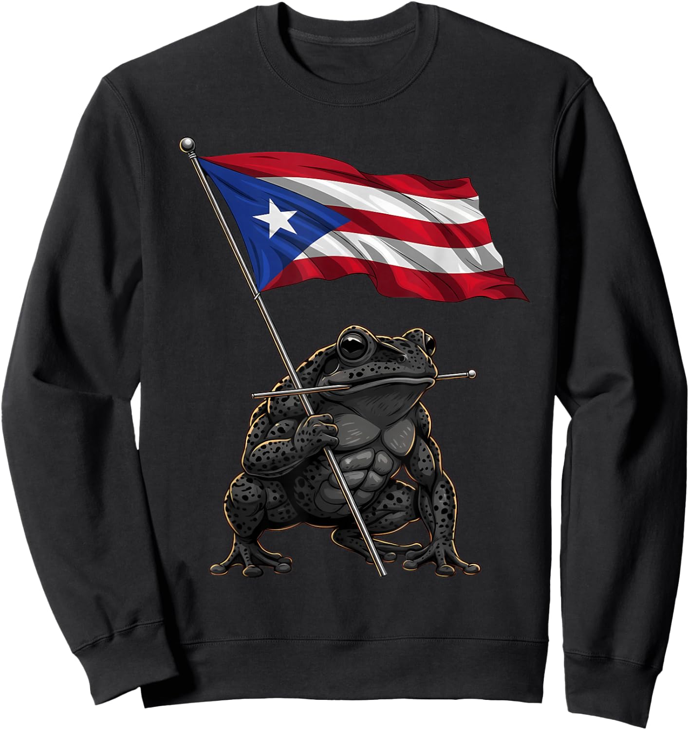 Coqui Frog Puerto Rico Taino Puerto Rican Flag Boricua Sweatshirt - Sweatshirt | Black