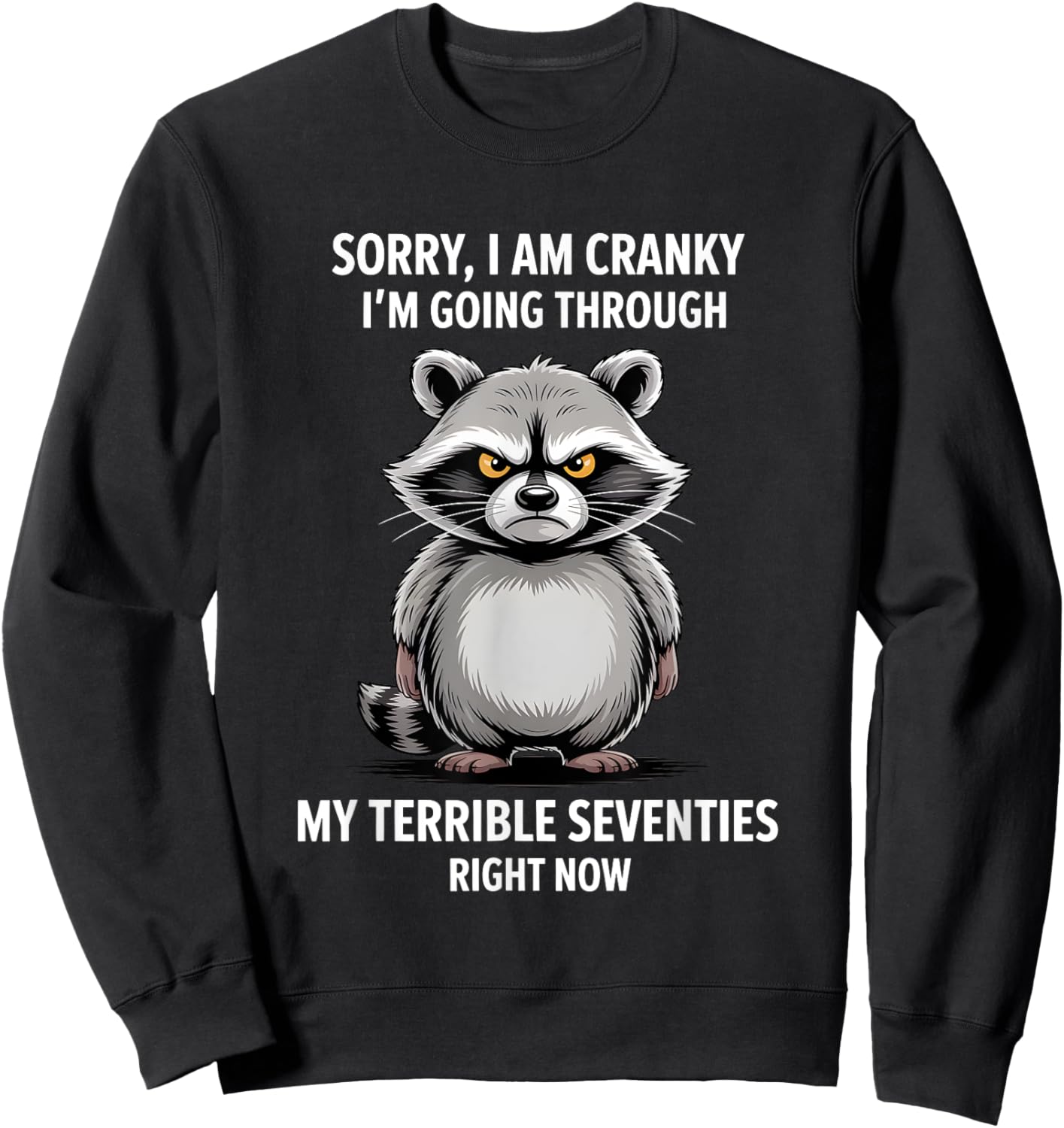 Sorry I'm Cranky My Terrible Seventies Right Now Sweatshirt - Sweatshirt | Black