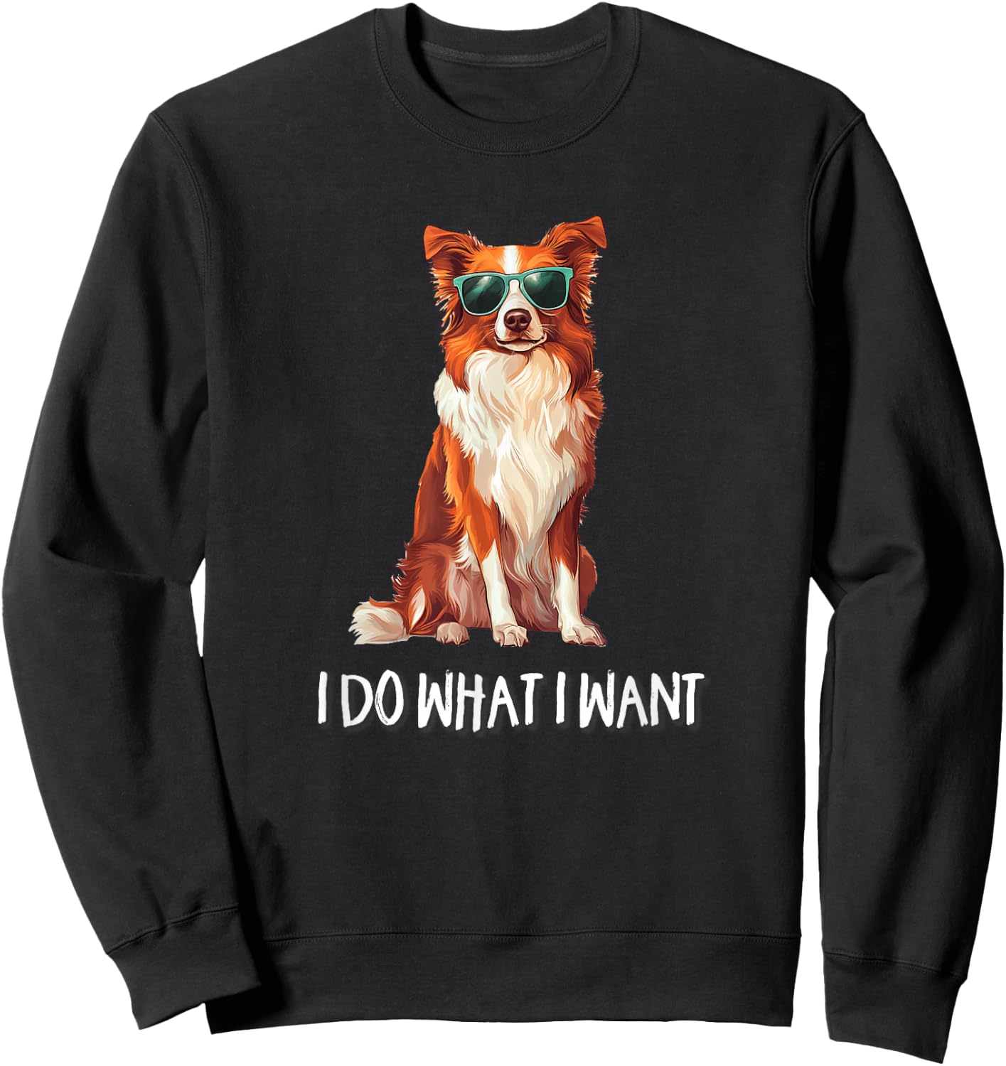 Funny Do What I Want Red Border Collie Lover Sweatshirt - Sweatshirt | Black