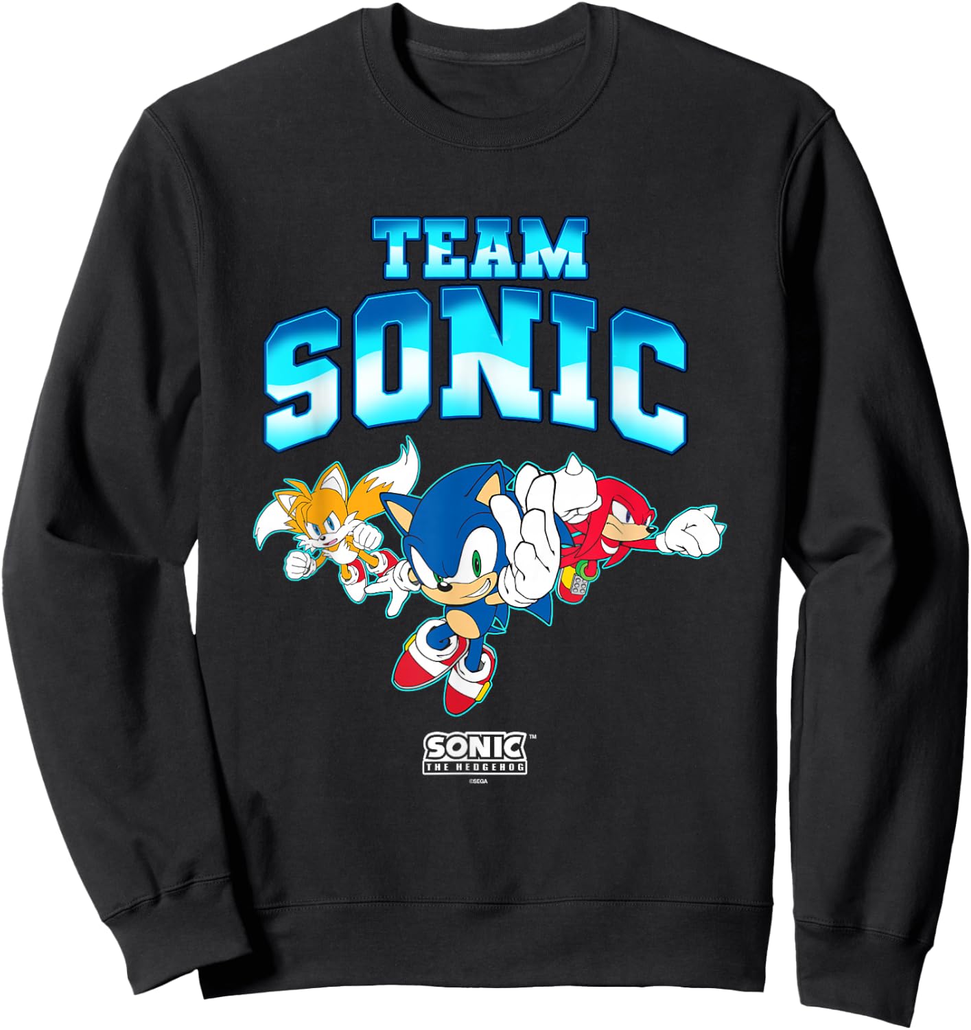 Sonic The Hedgehog Team Sonic Main Trio Epic Group Shot Sweatshirt - Sweatshirt | Black