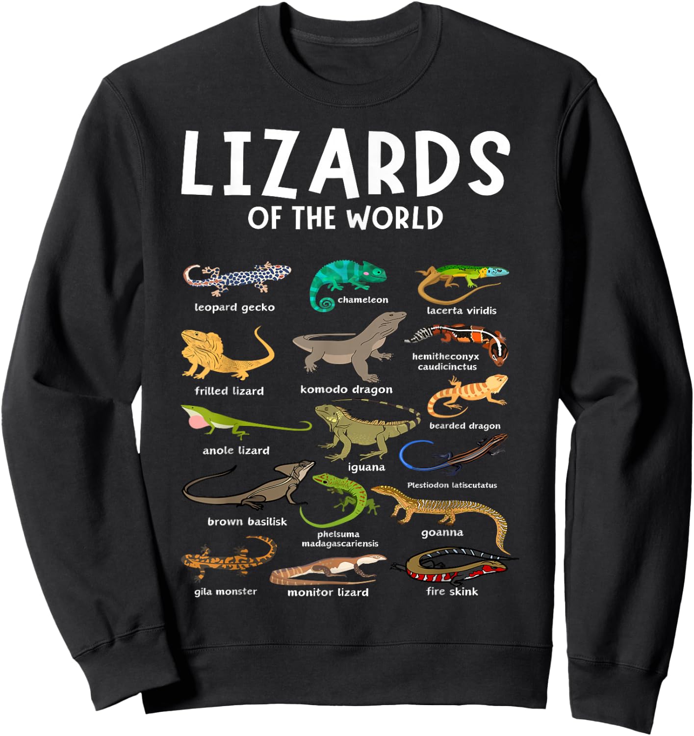 Types of Lizards of the World Reptile Herpetology Lizard Sweatshirt - Sweatshirt | Black