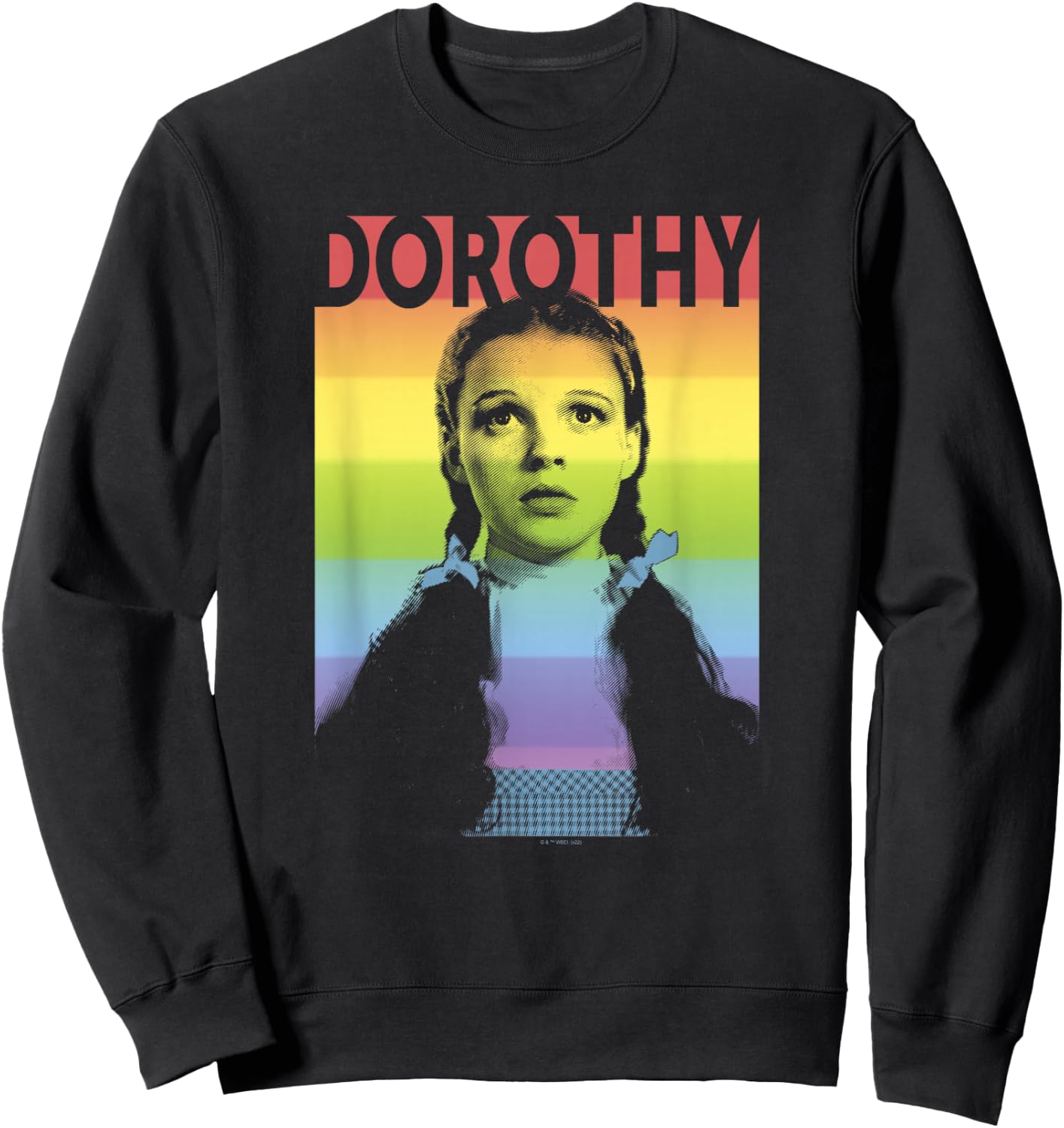 The Wizard of Oz Pride Dorothy Rainbow Poster Sweatshirt - Sweatshirt | Black
