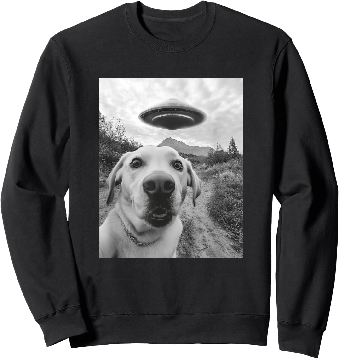 Funny Labrador Selfie with UFO Sweatshirt - Sweatshirt | Black
