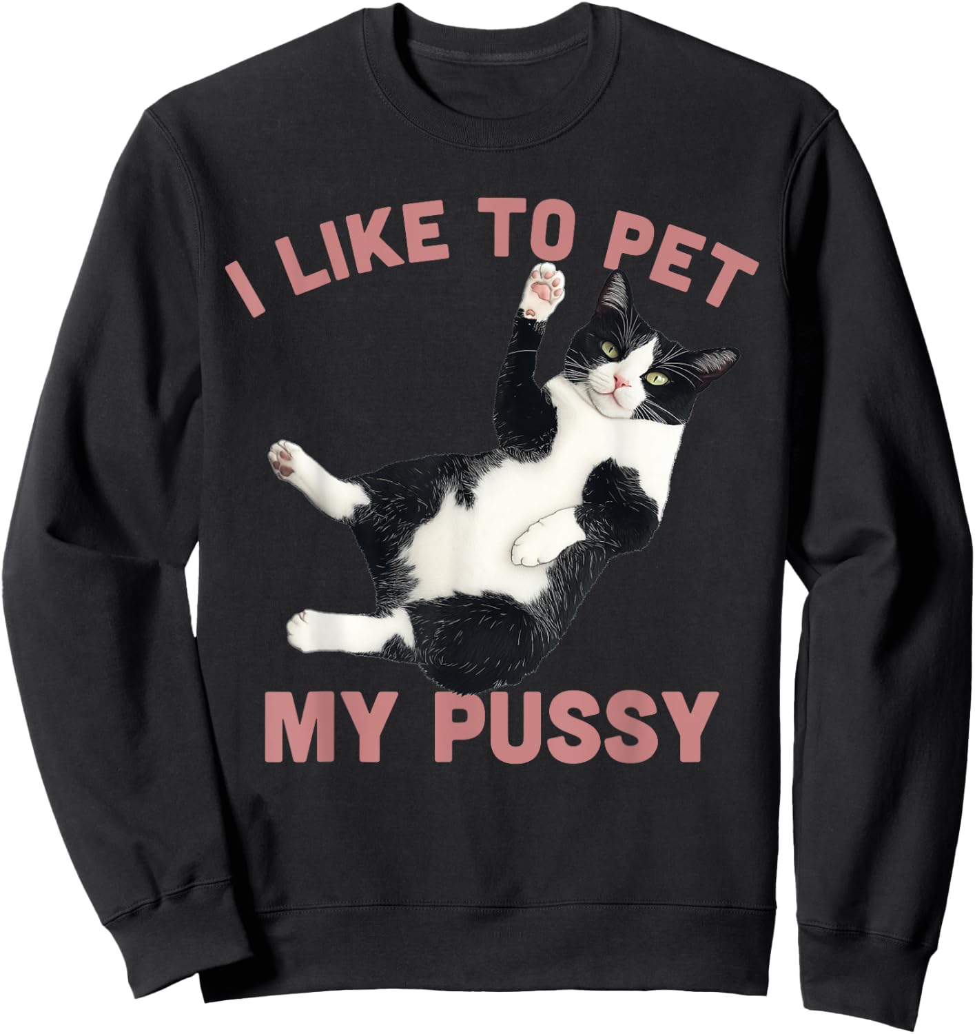 Like To Pet My Pussy Naughty Adult Cat Humor Saying Sweatshirt - Sweatshirt | Black