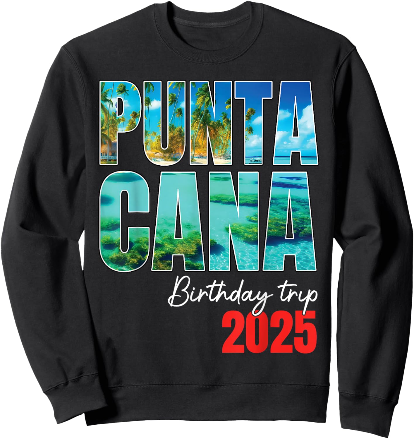 Punta Cana Birthday Trip 2025 Dominican Party Cruise Crew Sweatshirt - Sweatshirt | Black