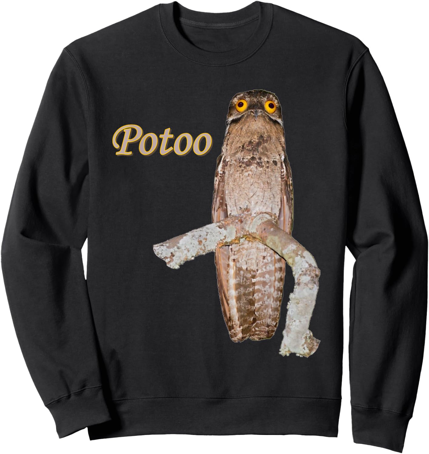 Potoo Bird Photo Funny Eyes Sweatshirt - Sweatshirt | Black