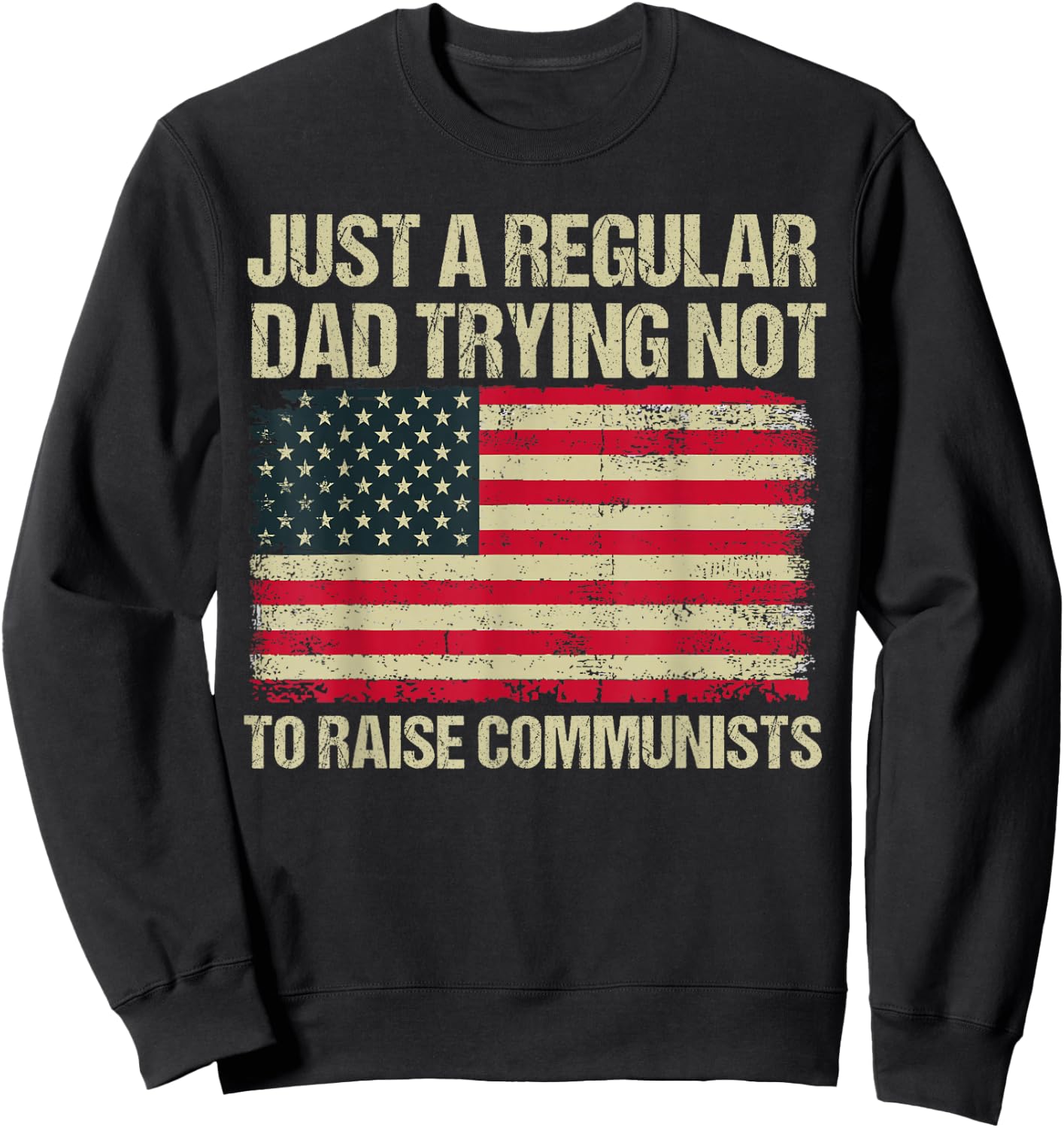 Back To School Gift KIds & Teachers Just A Regular Dad Trying Not To Raise Communists , Small, Black Sweatshirt - Sweatshirt | Black
