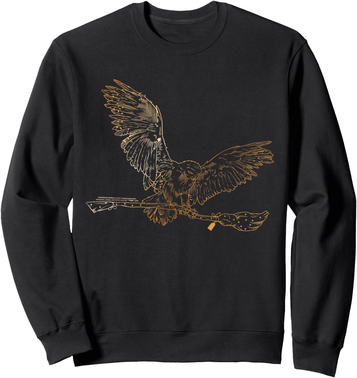 Harry Potter Magical Owl Ride Sweatshirt - Sweatshirt | Black