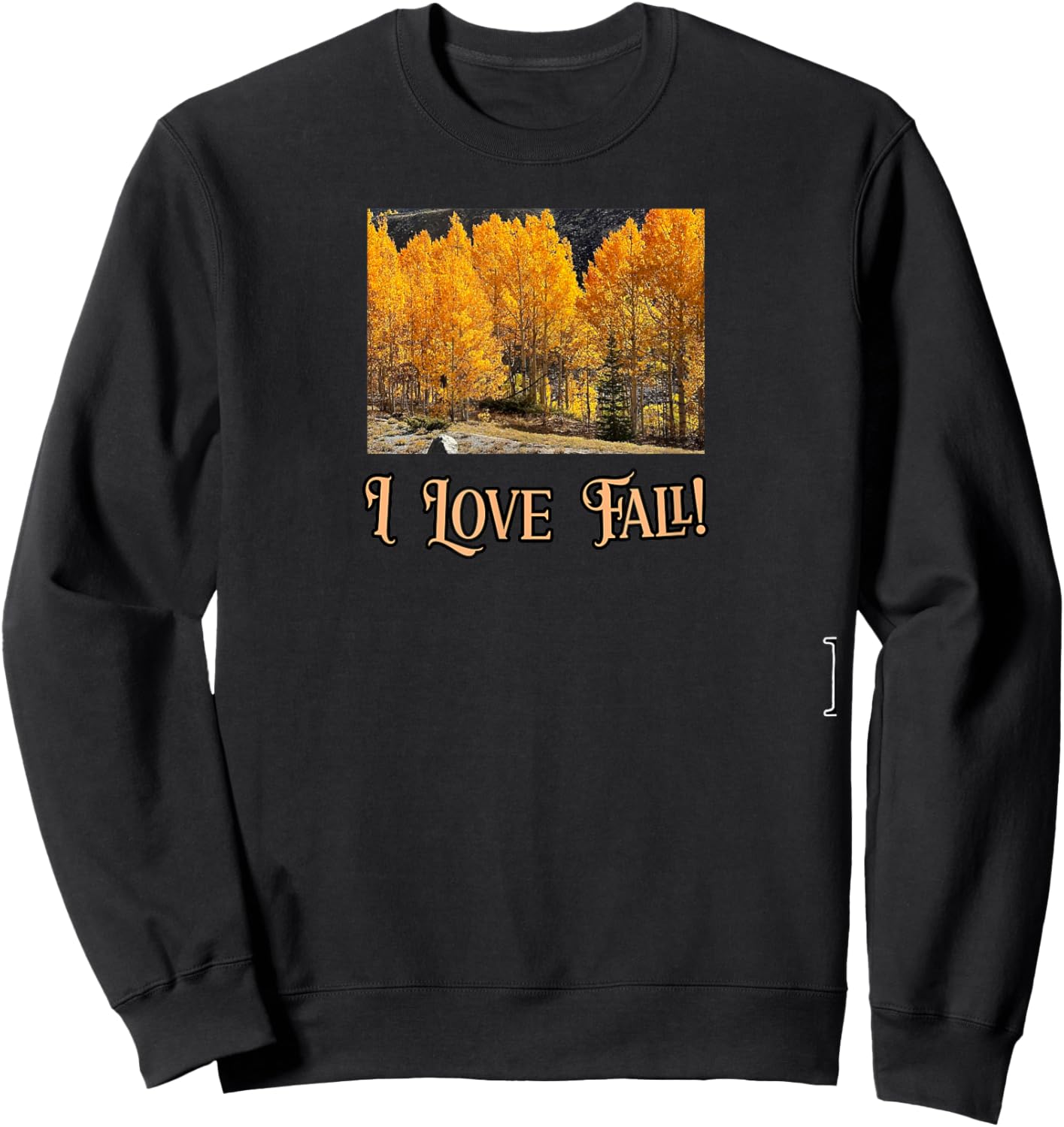 Colorado Aspen Trees Sweatshirt - Sweatshirt | Black