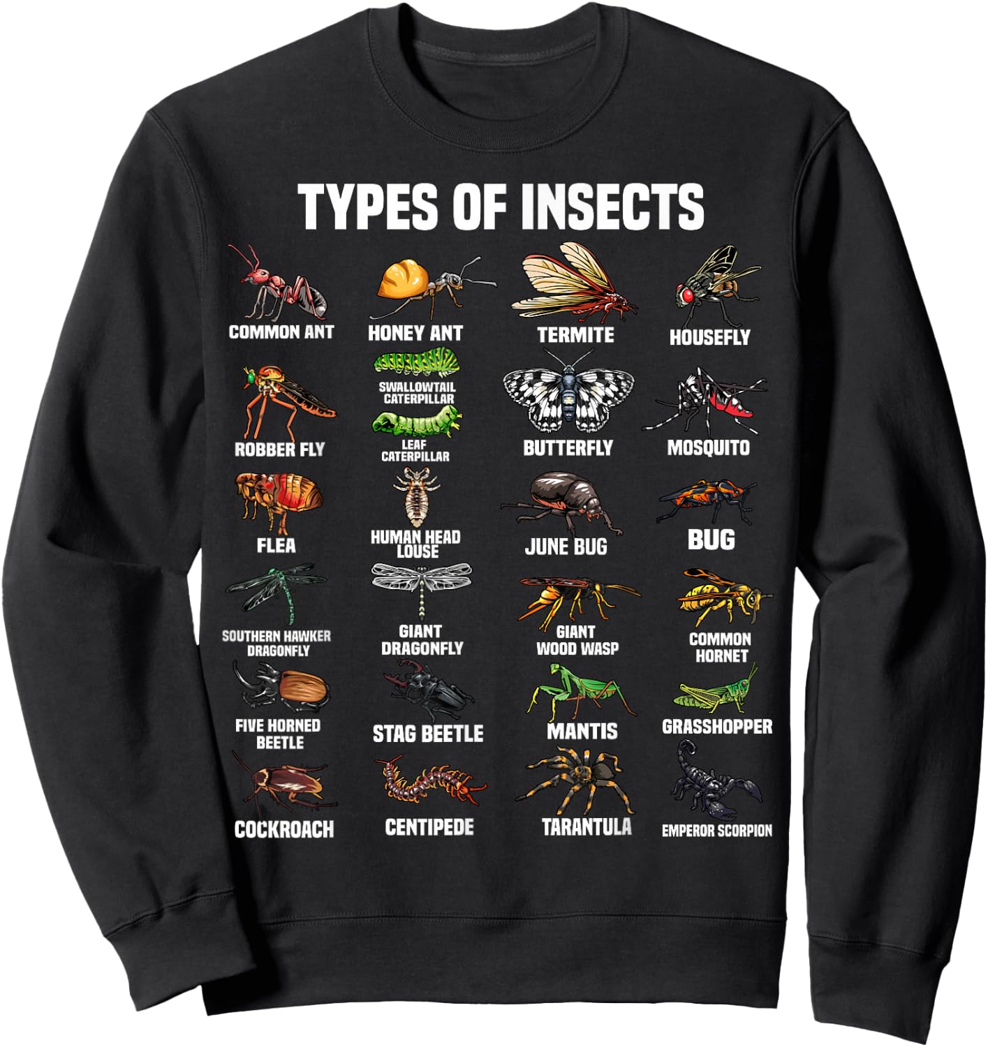 Funny Entomology Insect Bug Lover Men Women Boys Girls Kids Small Sweatshirt - Sweatshirt | Black