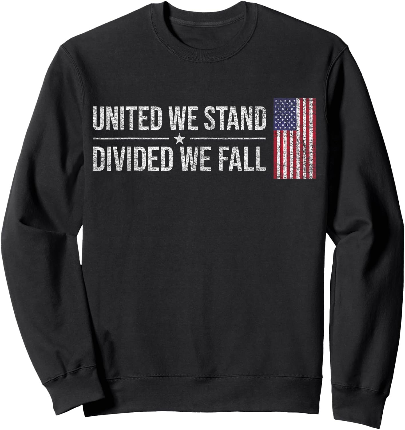 Usa Flag United We Stand Divided We Fall American Patriot Sweatshirt - Sweatshirt | Black