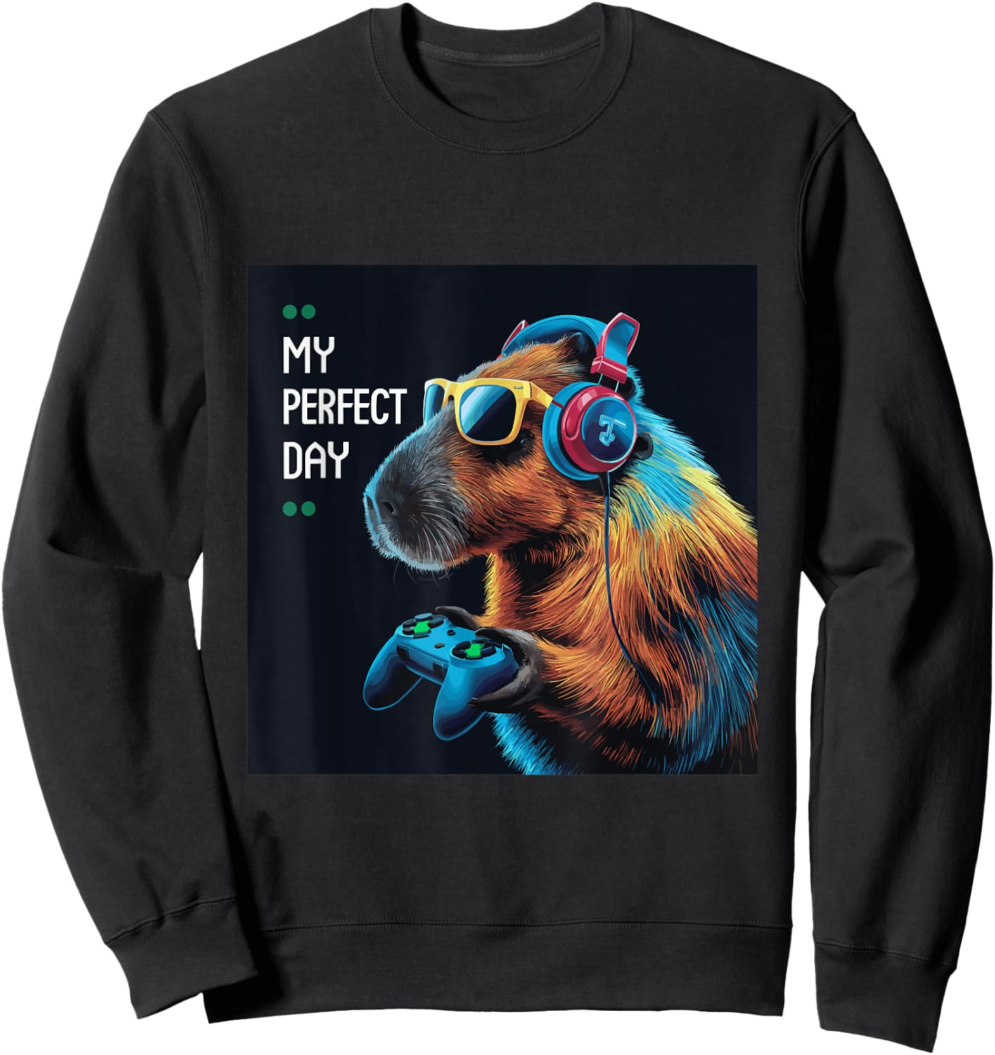 Capybara Stuff Girls Boy Capybara Costume Outfit Cappy Barra Sweatshirt - Sweatshirt | Black