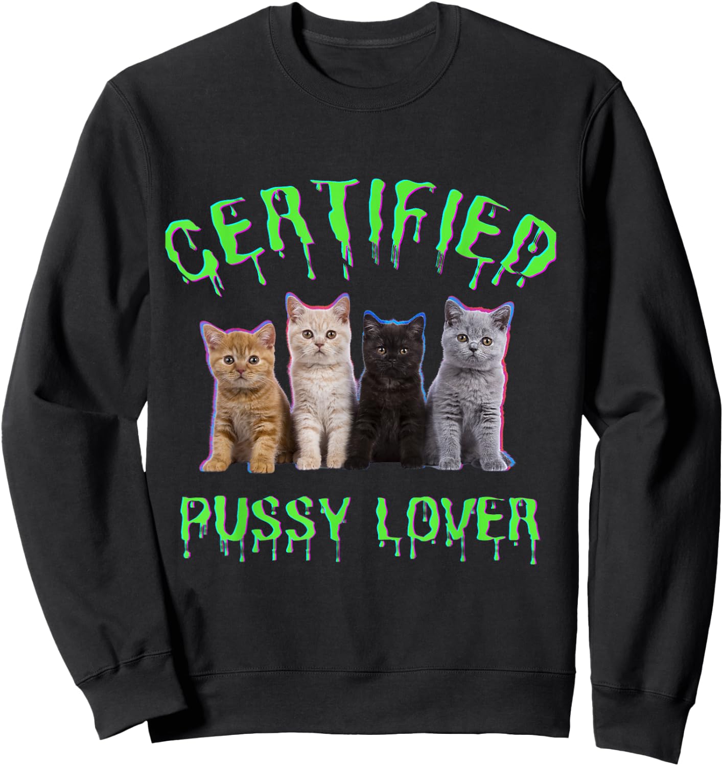 Funny Inappropriate Embarrassing Adult Humor, cat Lover Sweatshirt - Sweatshirt | Black